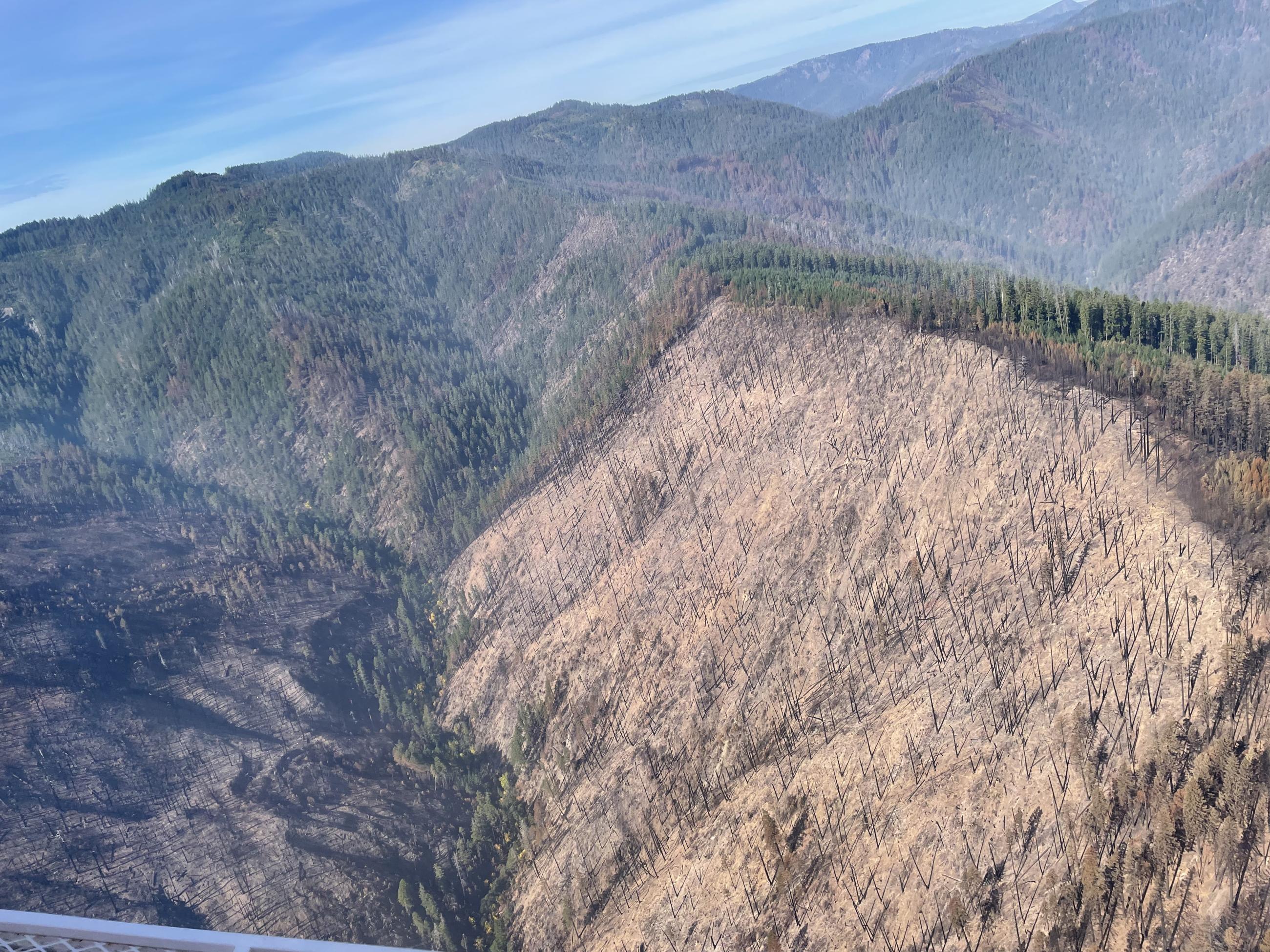 Mosquito Fire-Lightening Ridge on left with multiple failures, the ridge north of Salal gulch has high soil burn severity