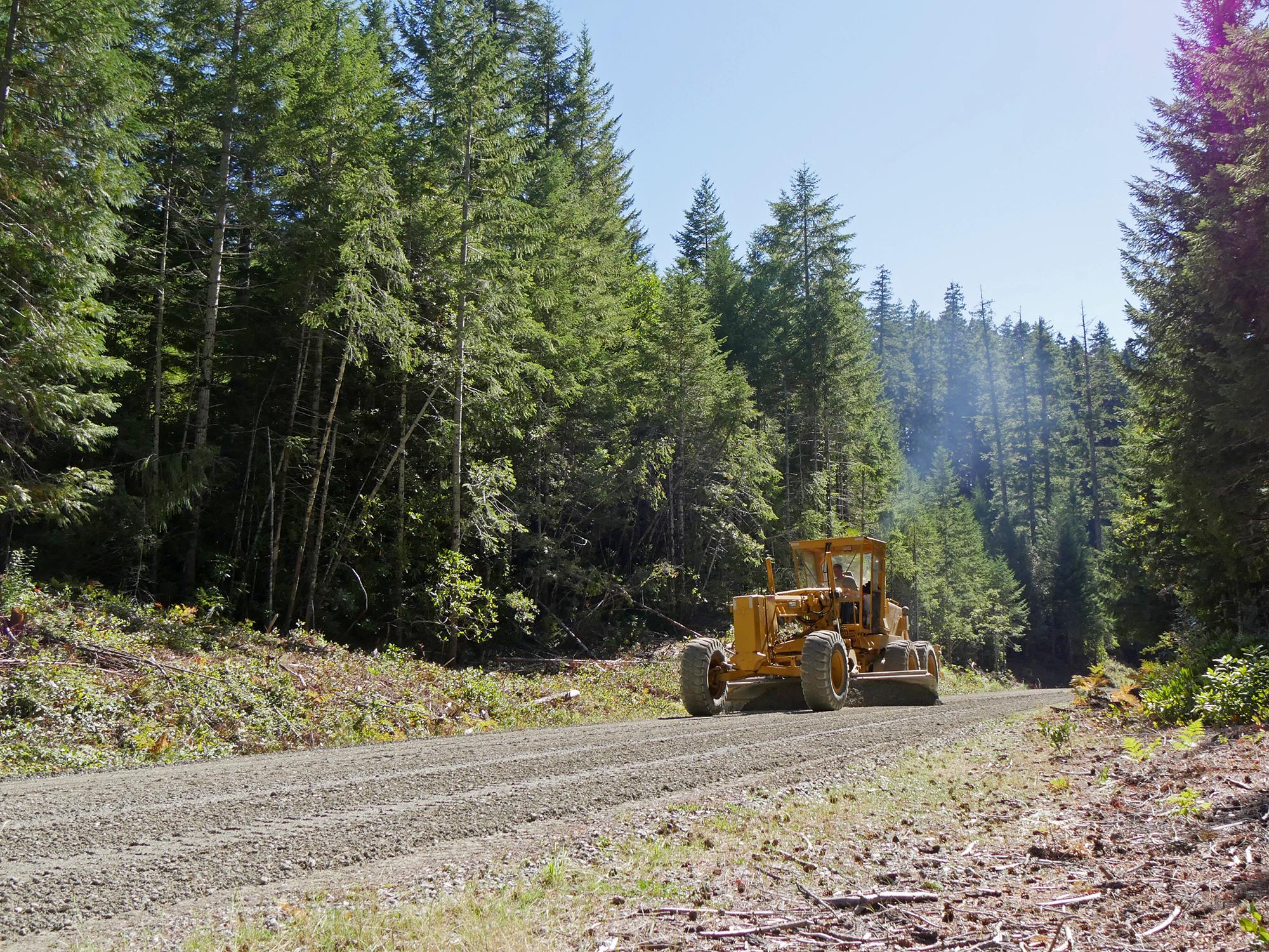 A yellow piece of heavy equipment called a grater, works to improve a dirt road in the middle of the forest.
