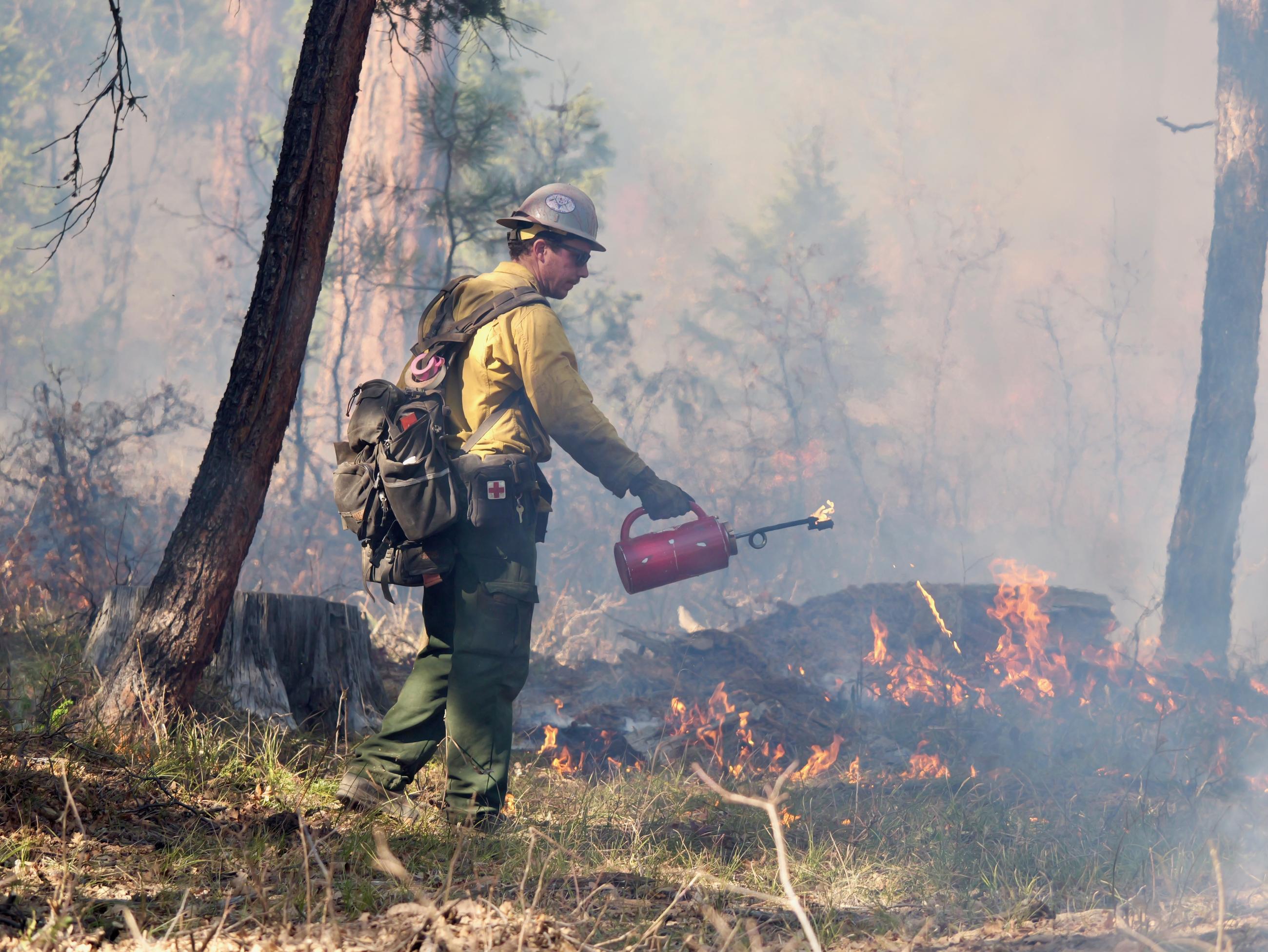 A US Forest Service firefighter uses a drip torch in smoky conditions during the Trail Springs Fire.