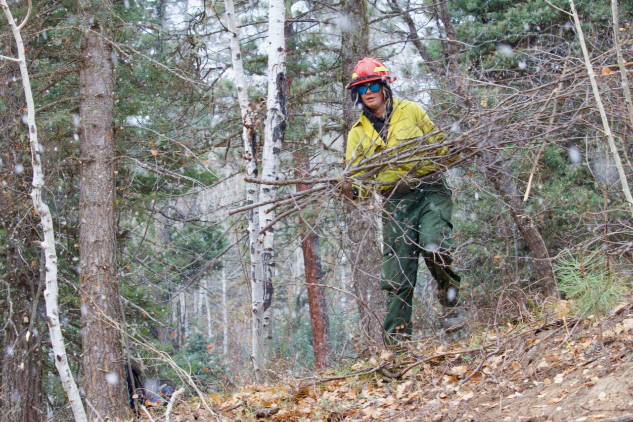 A firefighter wearing green pants, a yellow shirt covering a black hoodie, and a red helmet, prepares to toss an armload of branches down a steep bank. The background shows a pine and aspen forest with flurries falling.