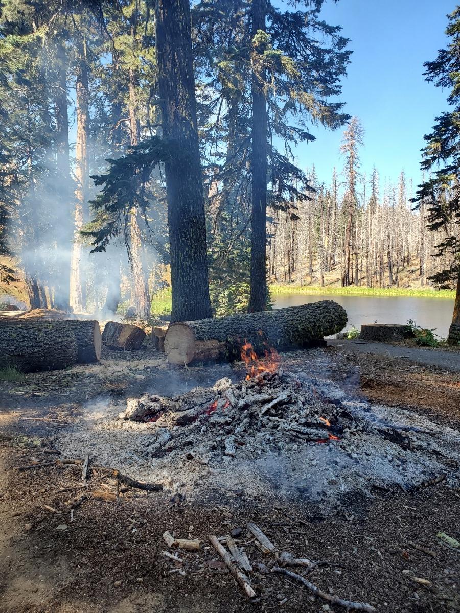 Piles burning and smoldering in the Plaskett Meadows Picnic Area