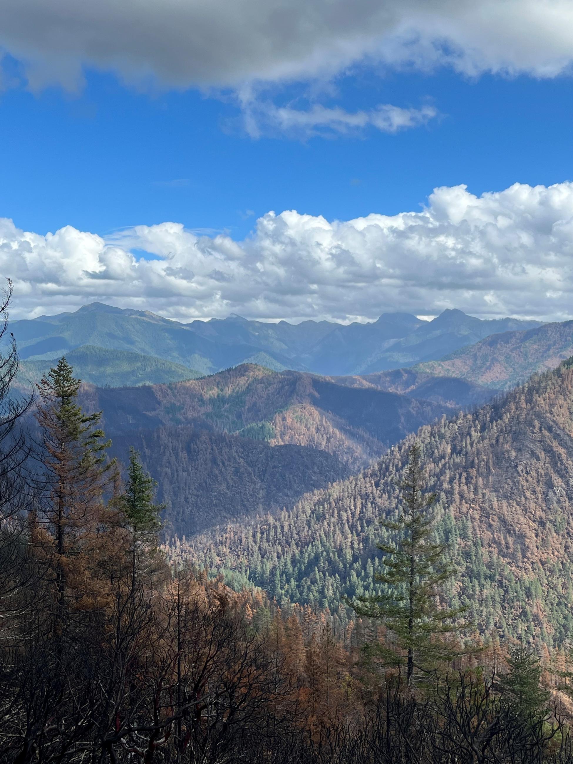 Shelley and Monkey Creek Ridges in Smith River Complex