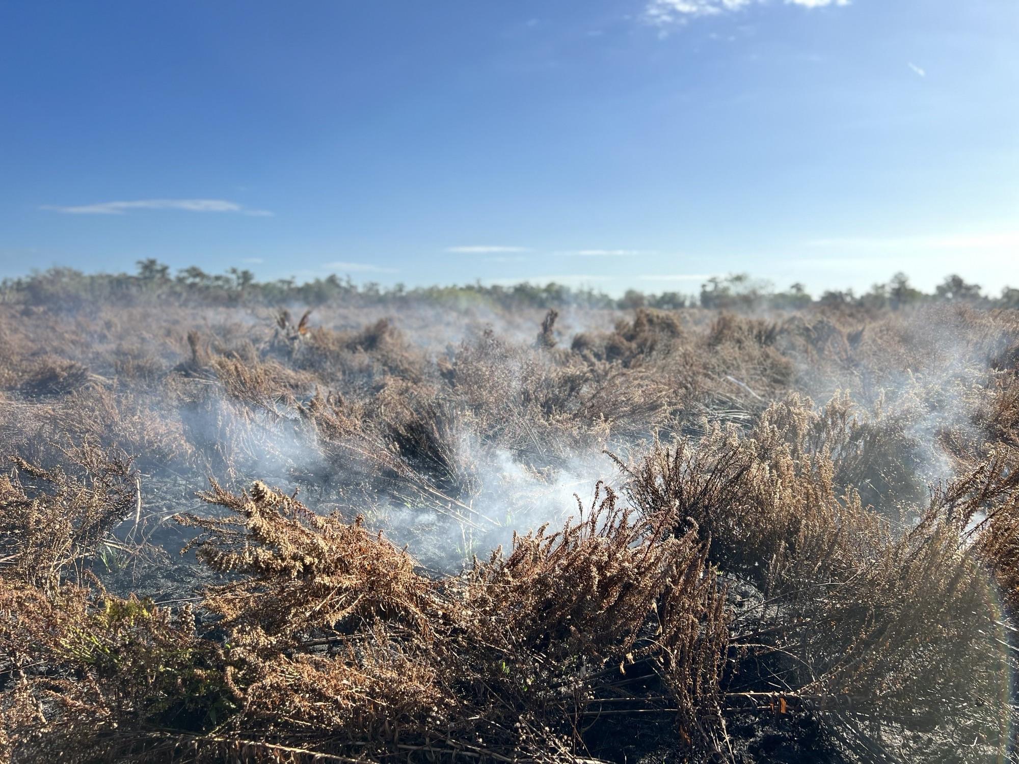 This is a photo of the smoky landscape of the fire area