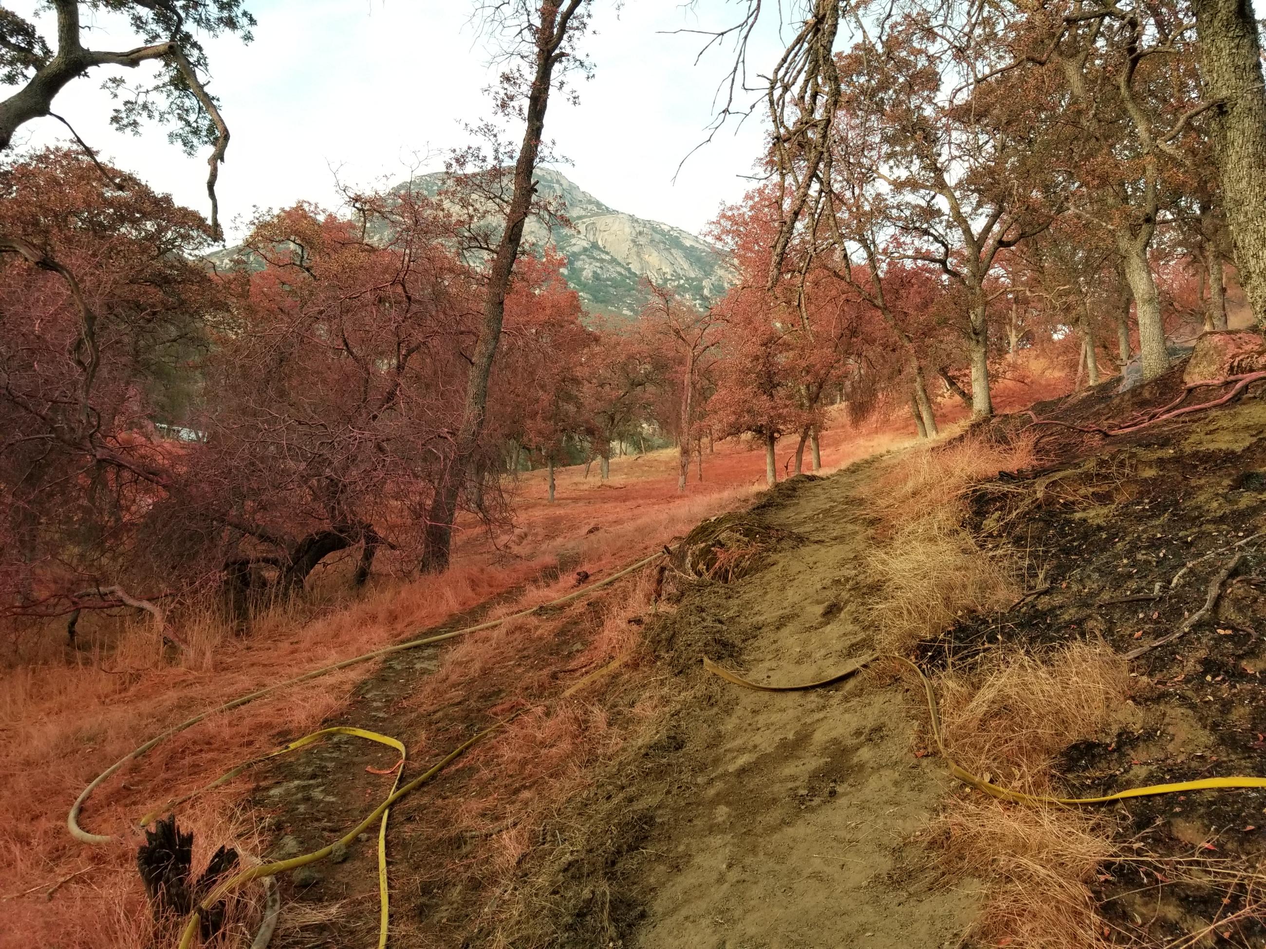 Area covered in fire retardant