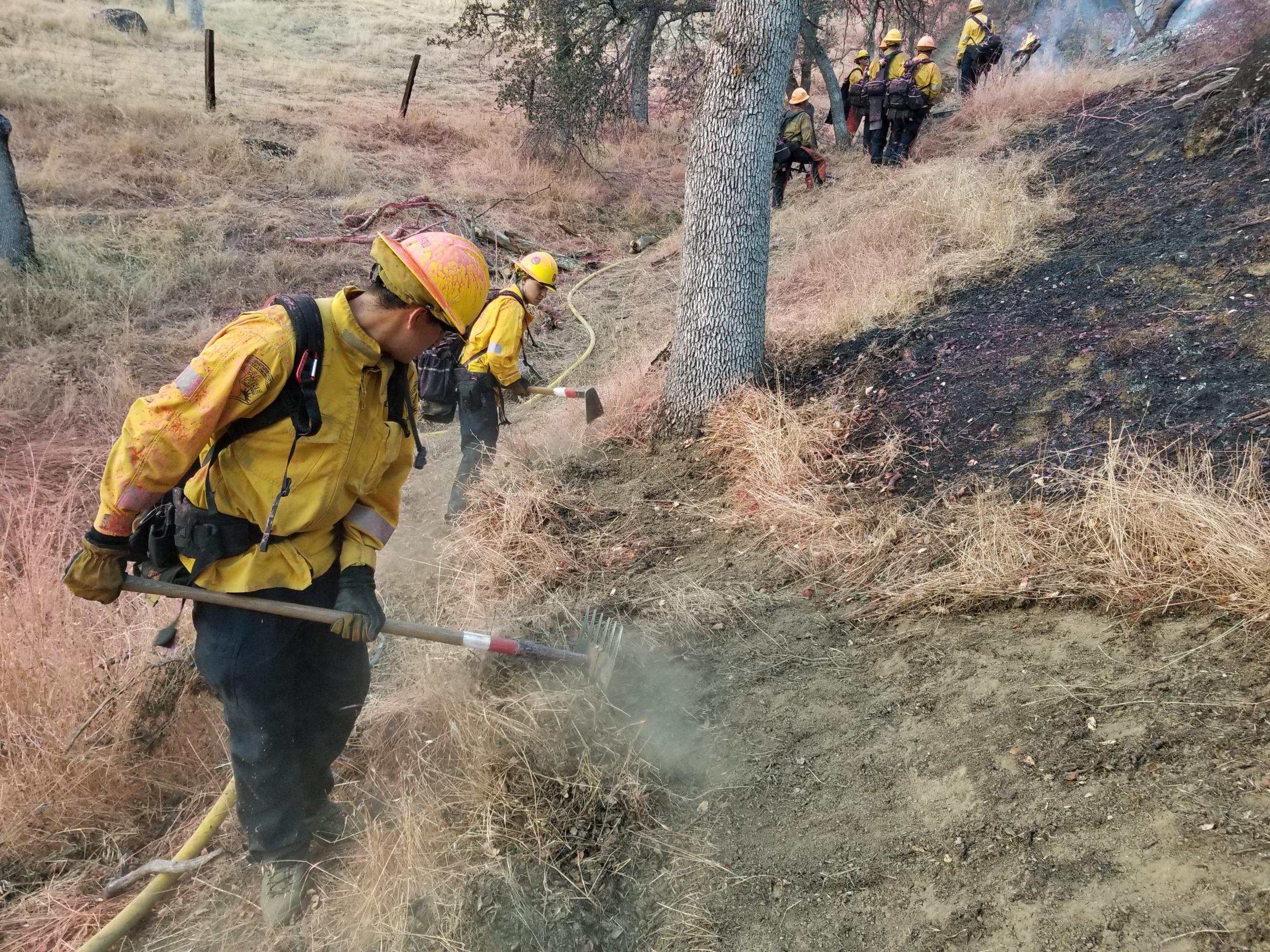 Firefighters digging line on the Sycamore Fire
