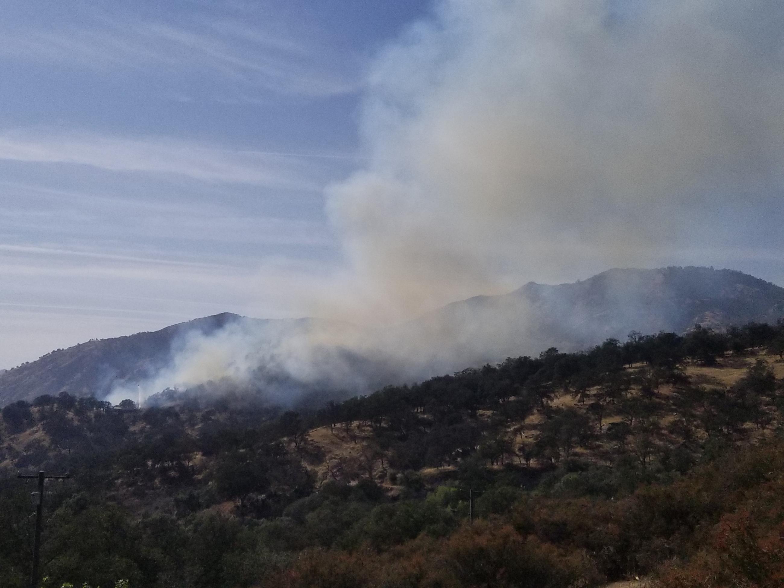 Smoke rises from a forested hillside