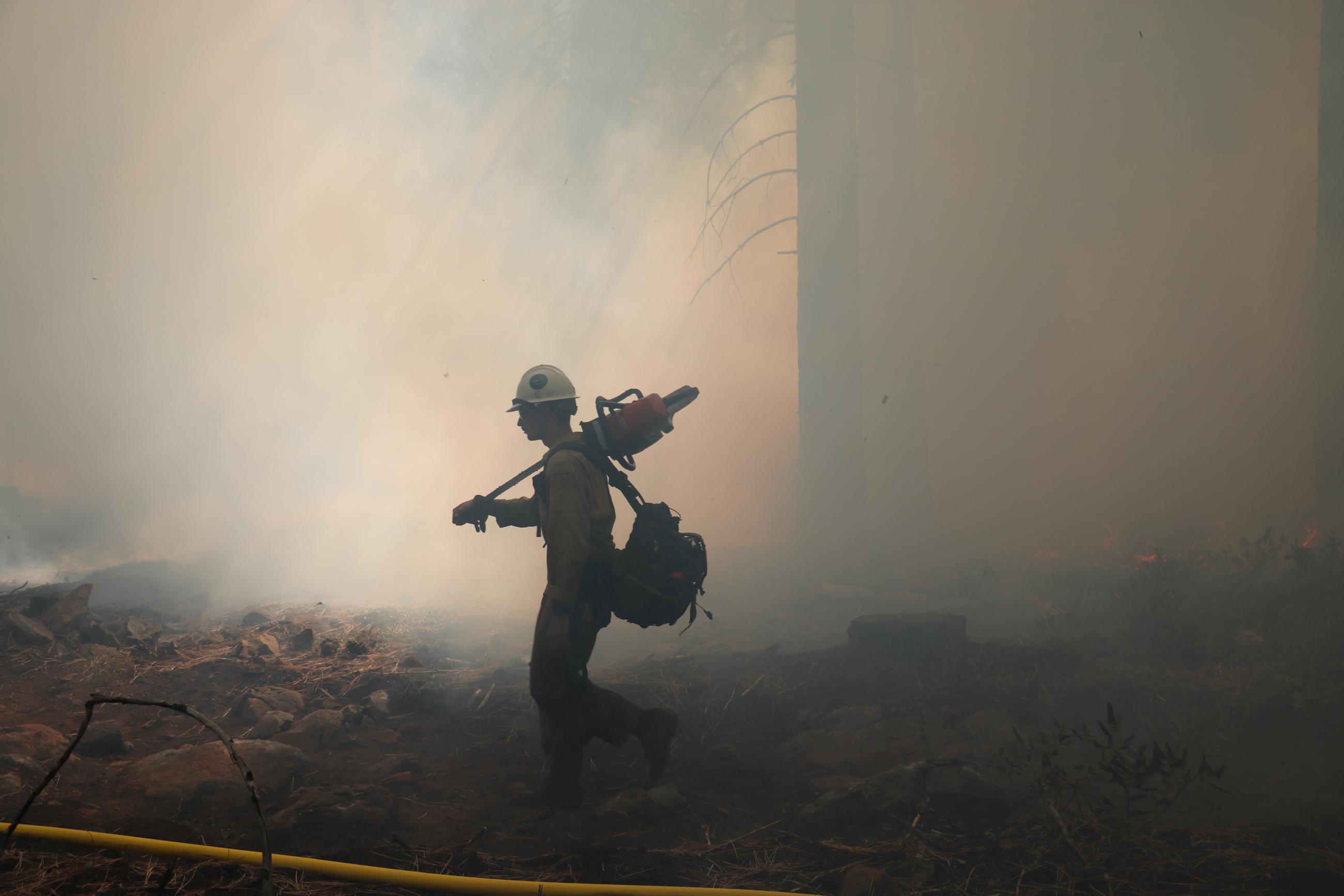 Tahoe National Forest firefighter monitoring the Sagehen Hills Underburn