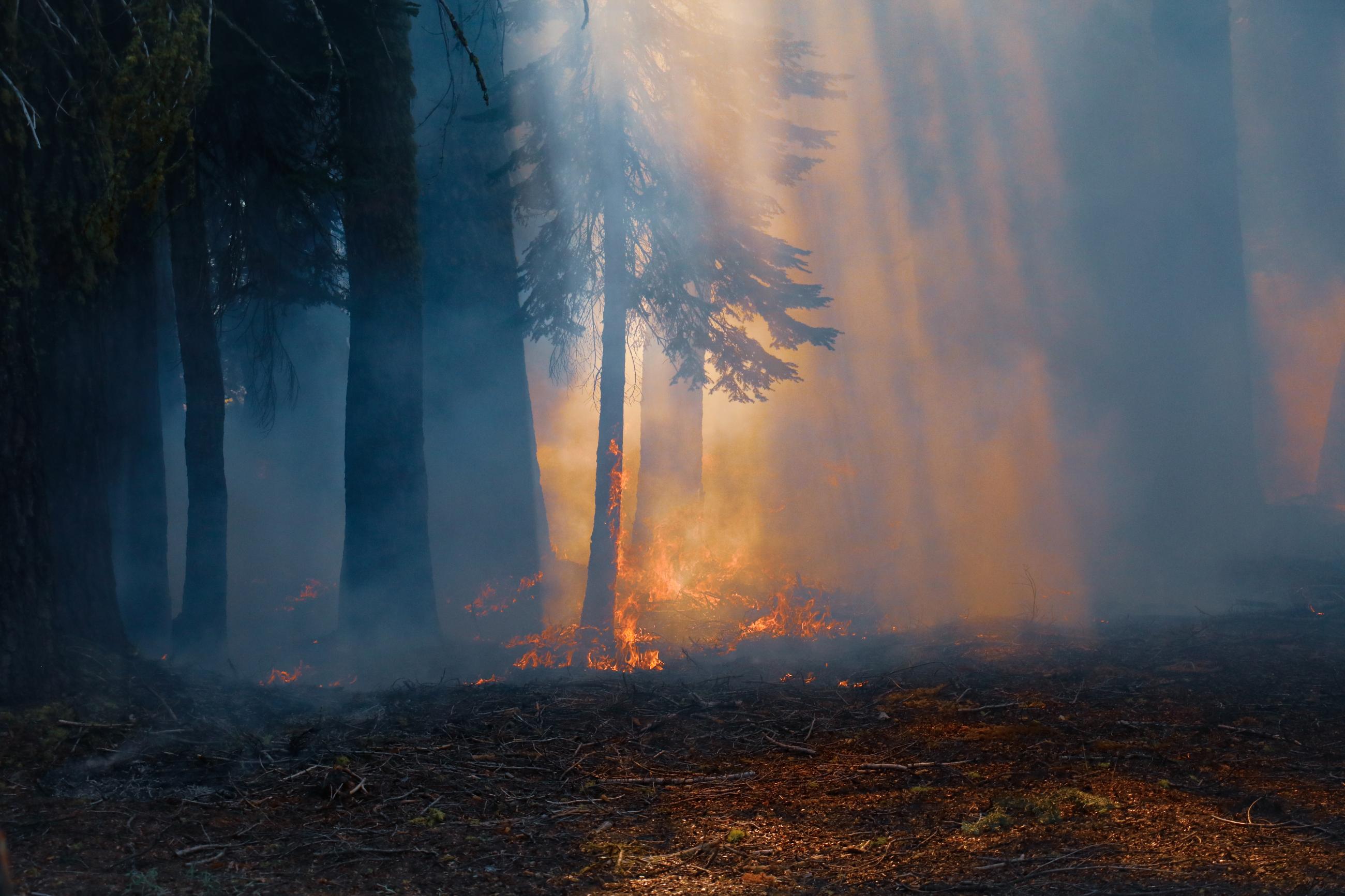 Yuba underburn
