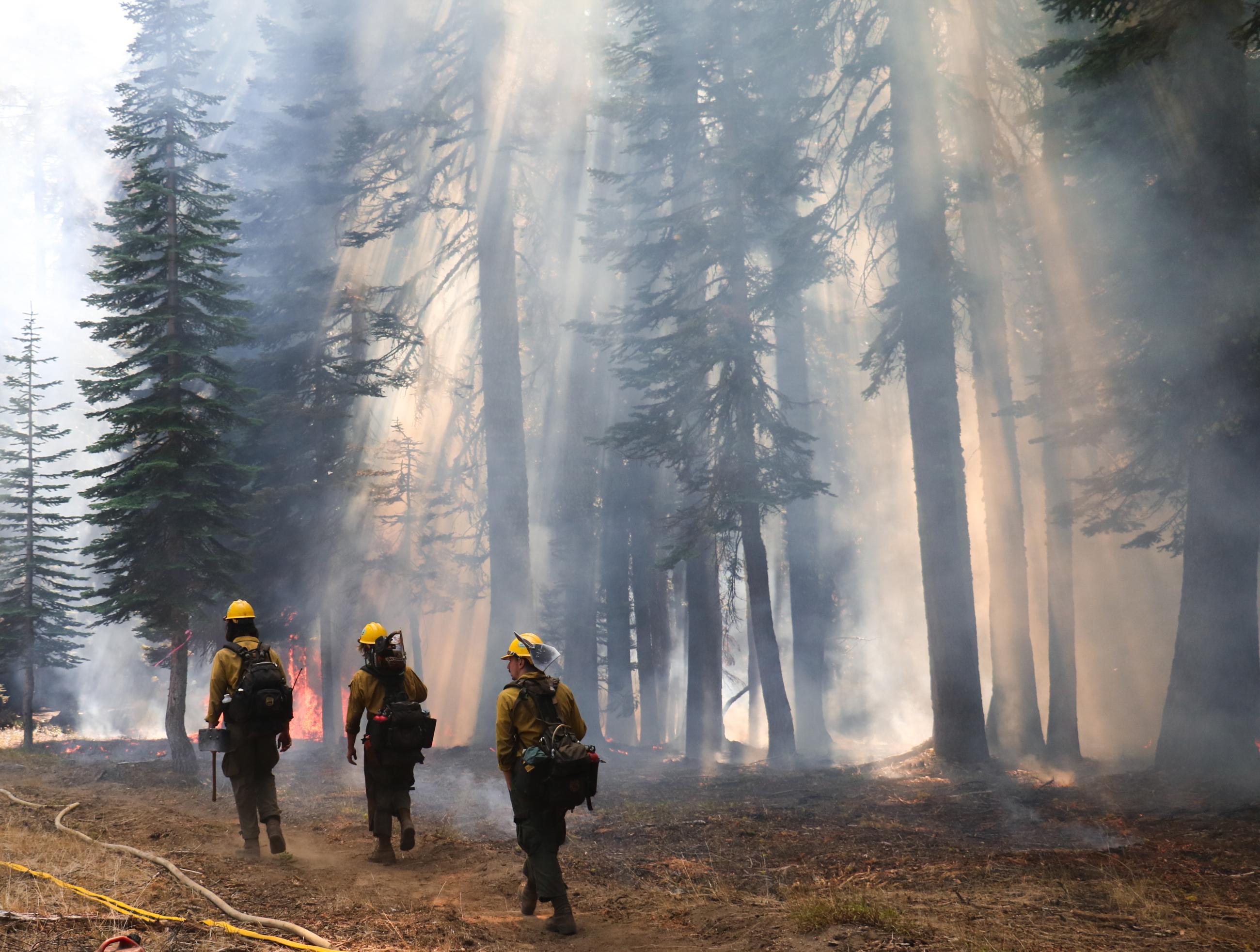 Firefighters monitoring Yuba underburn