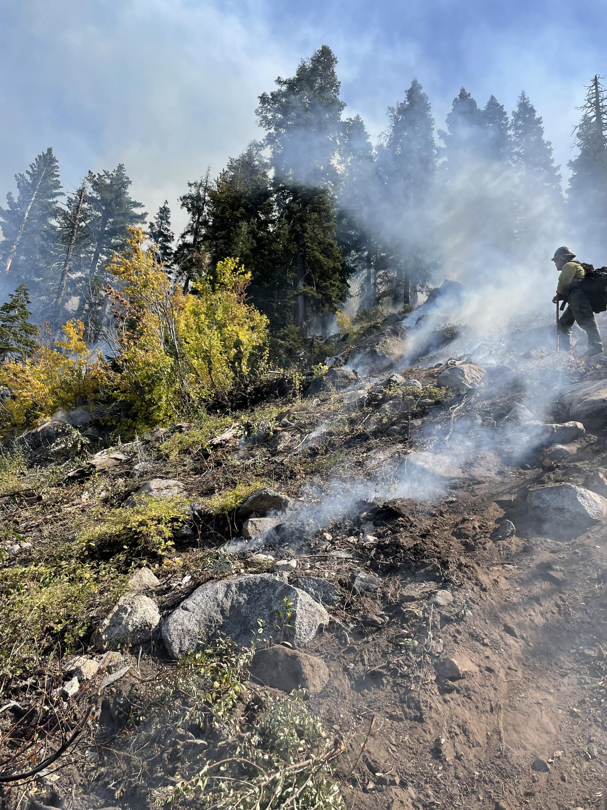 Fire crew supervising fire and smoke on a wooded hillside.