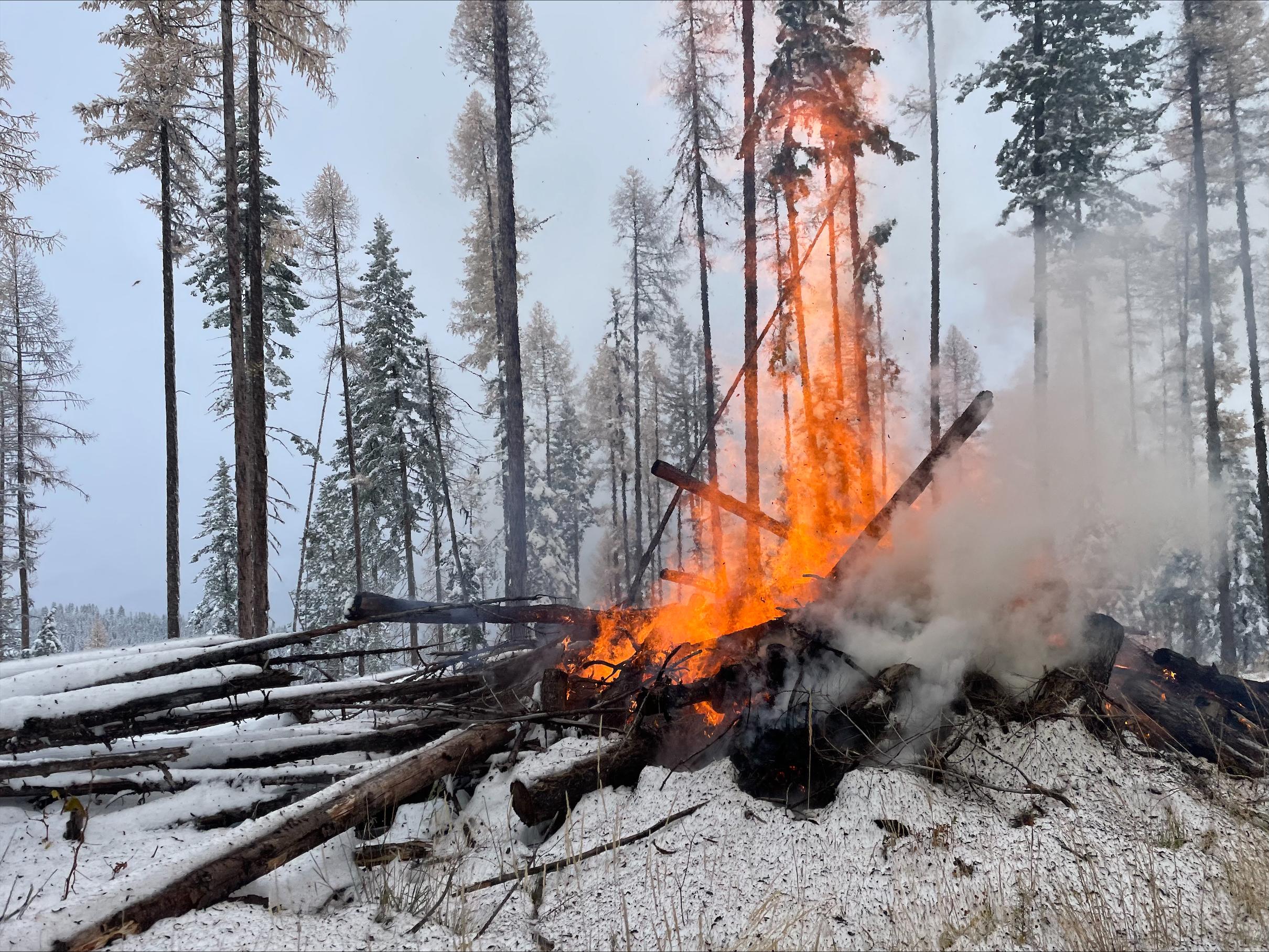 Large pile burning in the forest with snow on the ground 