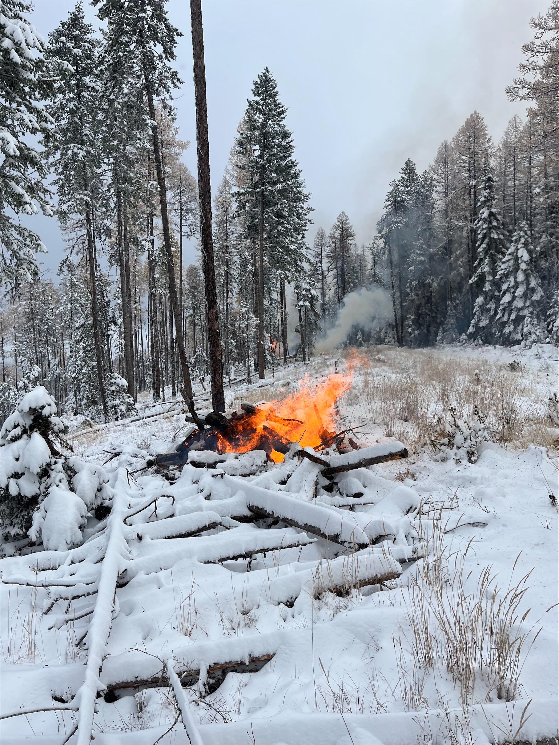 Pile burning in the forest with snow on the ground