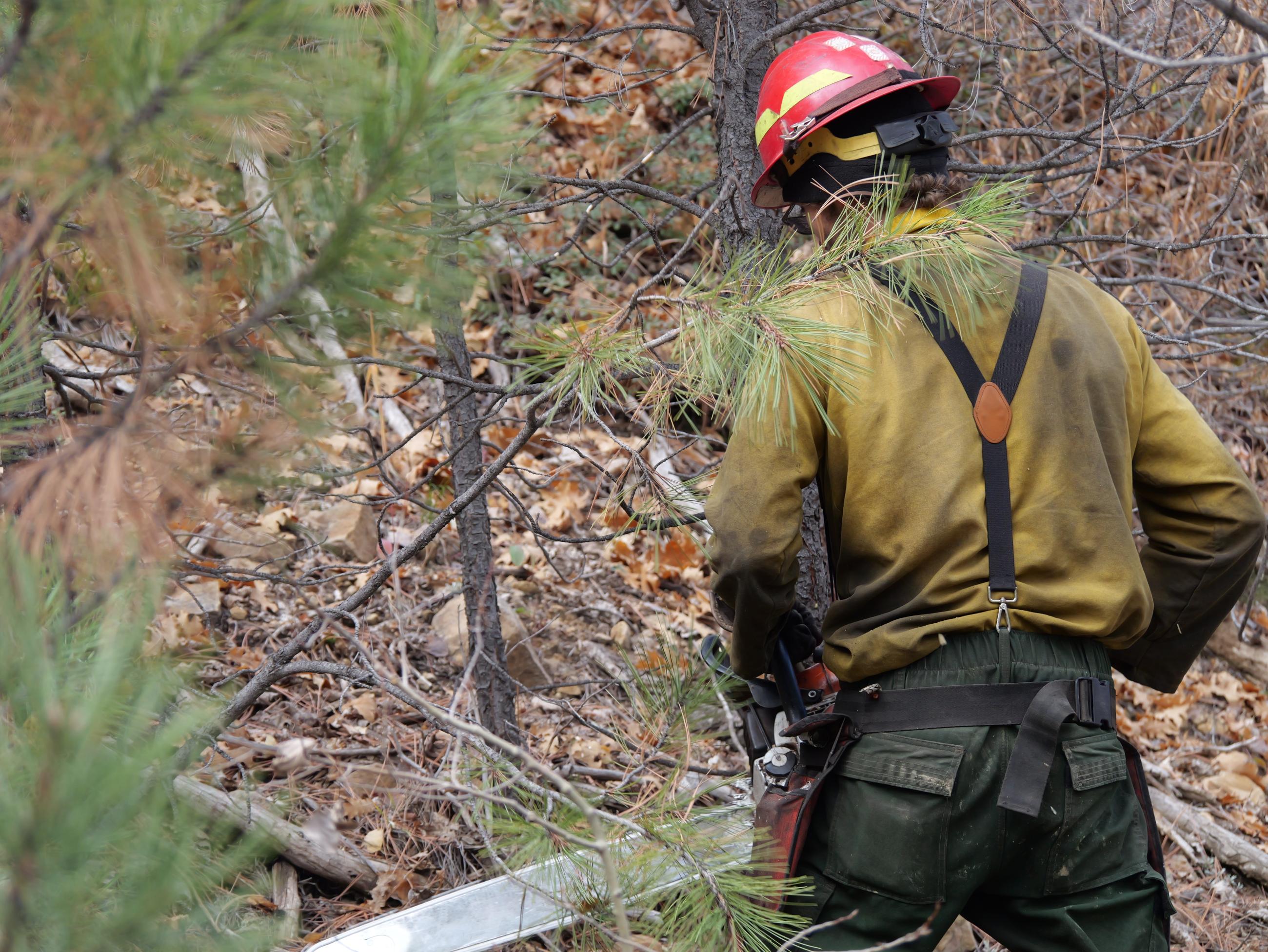 A member of a private contract fire crew cuts brush along a forest road during the Trail Springs Fire on October 29, 2023.