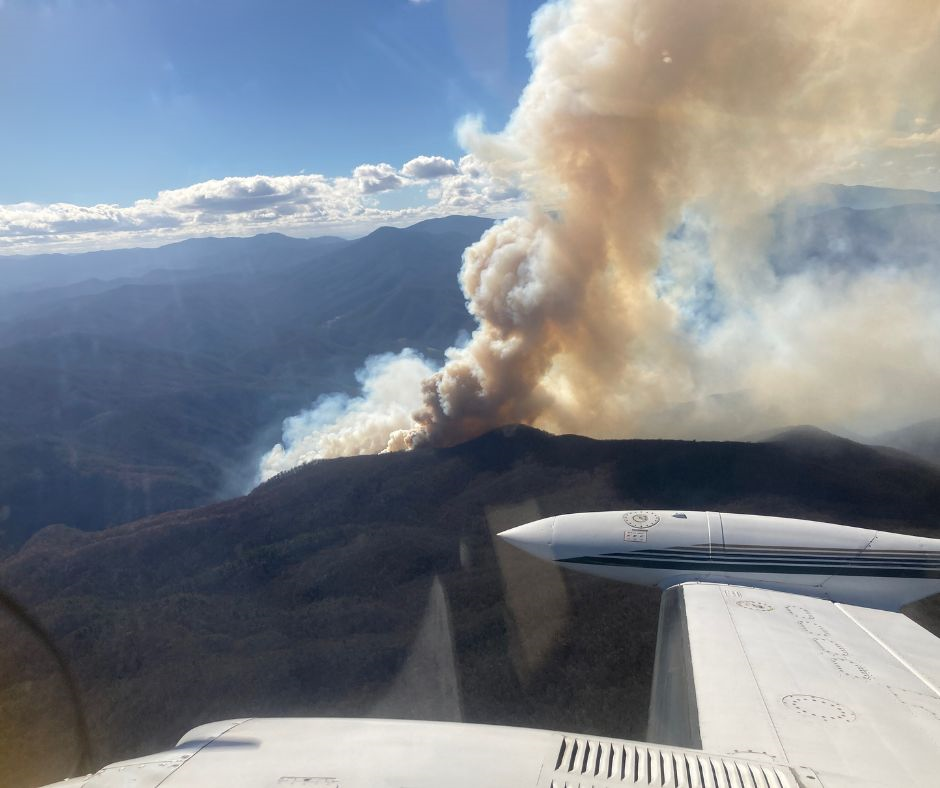 Black Bear Fire as seen from Air Attack