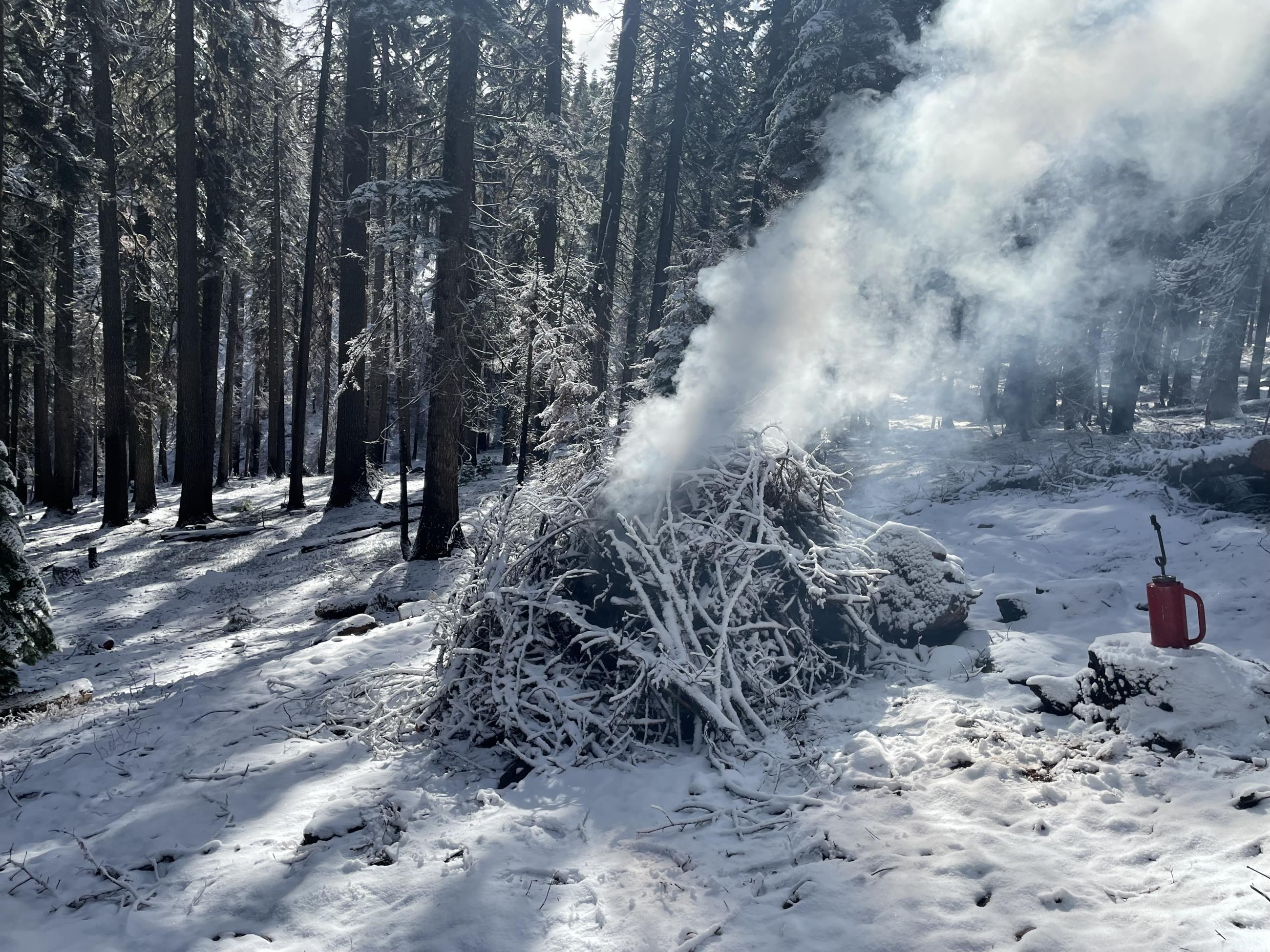Pile burning in light snow at Snow Basin in Mendocino National Forest