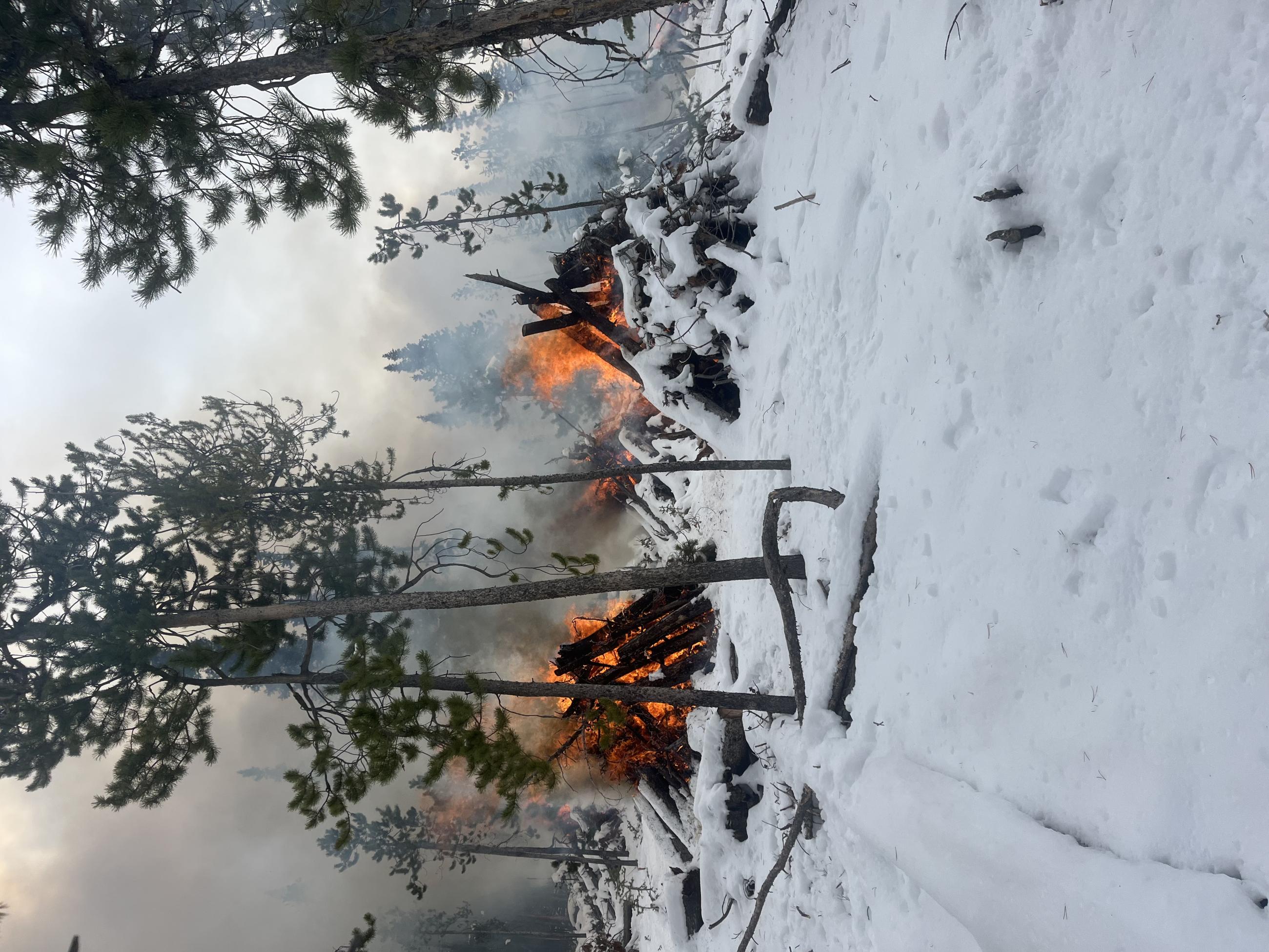 Pile Burning near Fair Subdivision