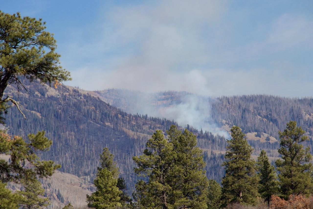 Smoke rises from behind a ridge with conifers in the foreground