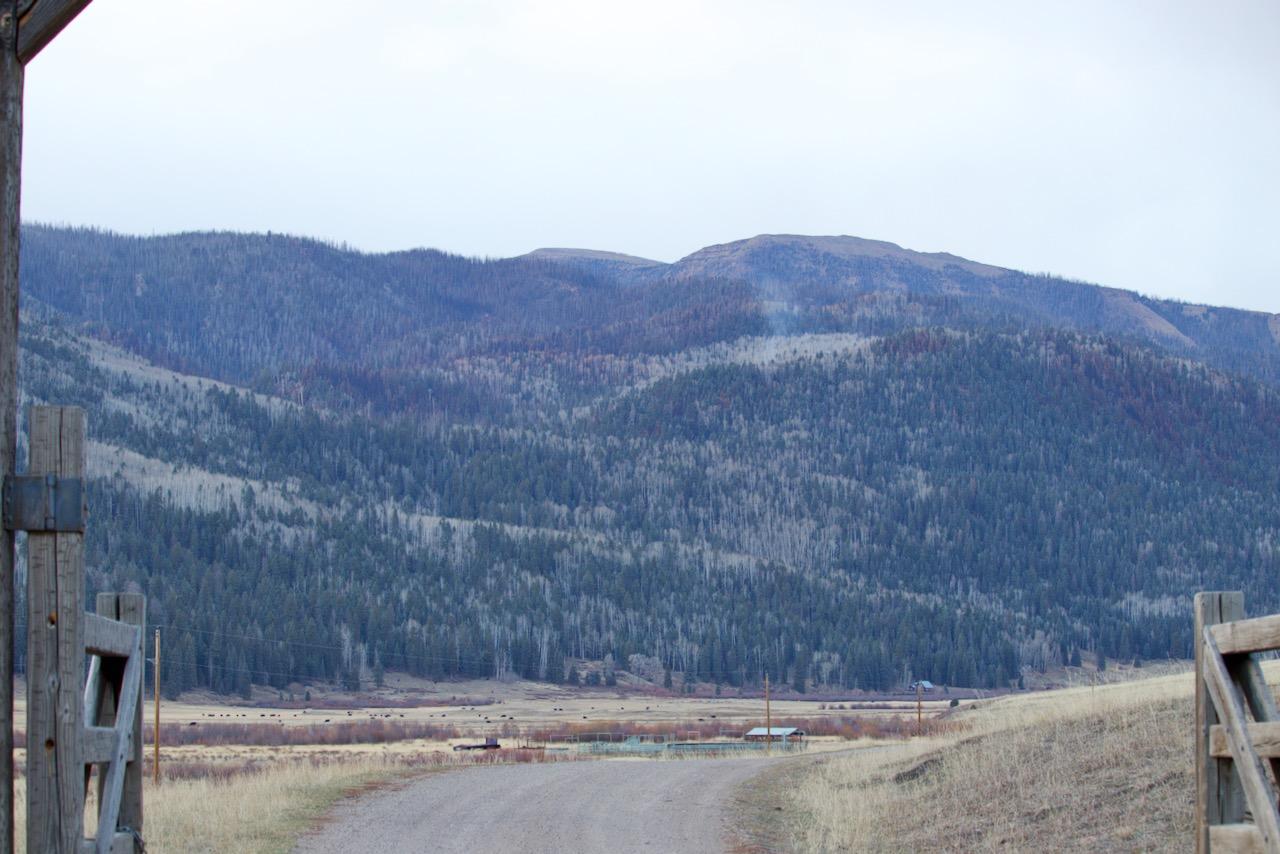 The image shows a rural driveway with wooden gates in the foreground and a forested mountainside in the background with whisps of smoke rising up.