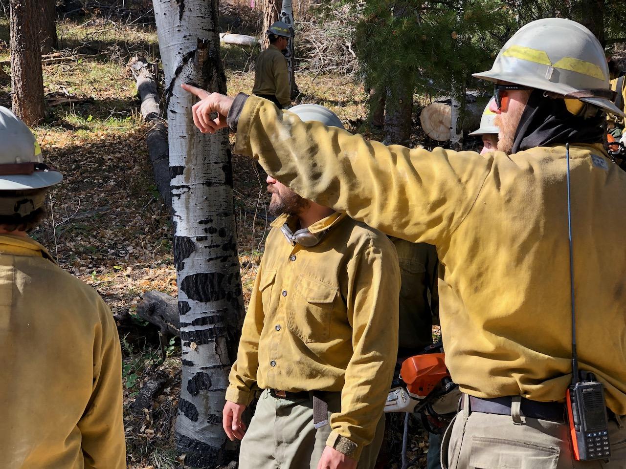 A firefighter wearing a yellow shirt, tan pants, and a hard hat, with a radio on his hip, points down the road to show the other firefighters something.