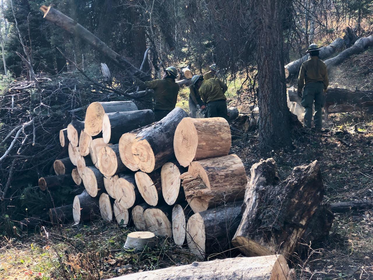 In the foreground is a pile of log rounds beside a pile of brush and tree limbs, with firefighters carrying logs and branches in the background