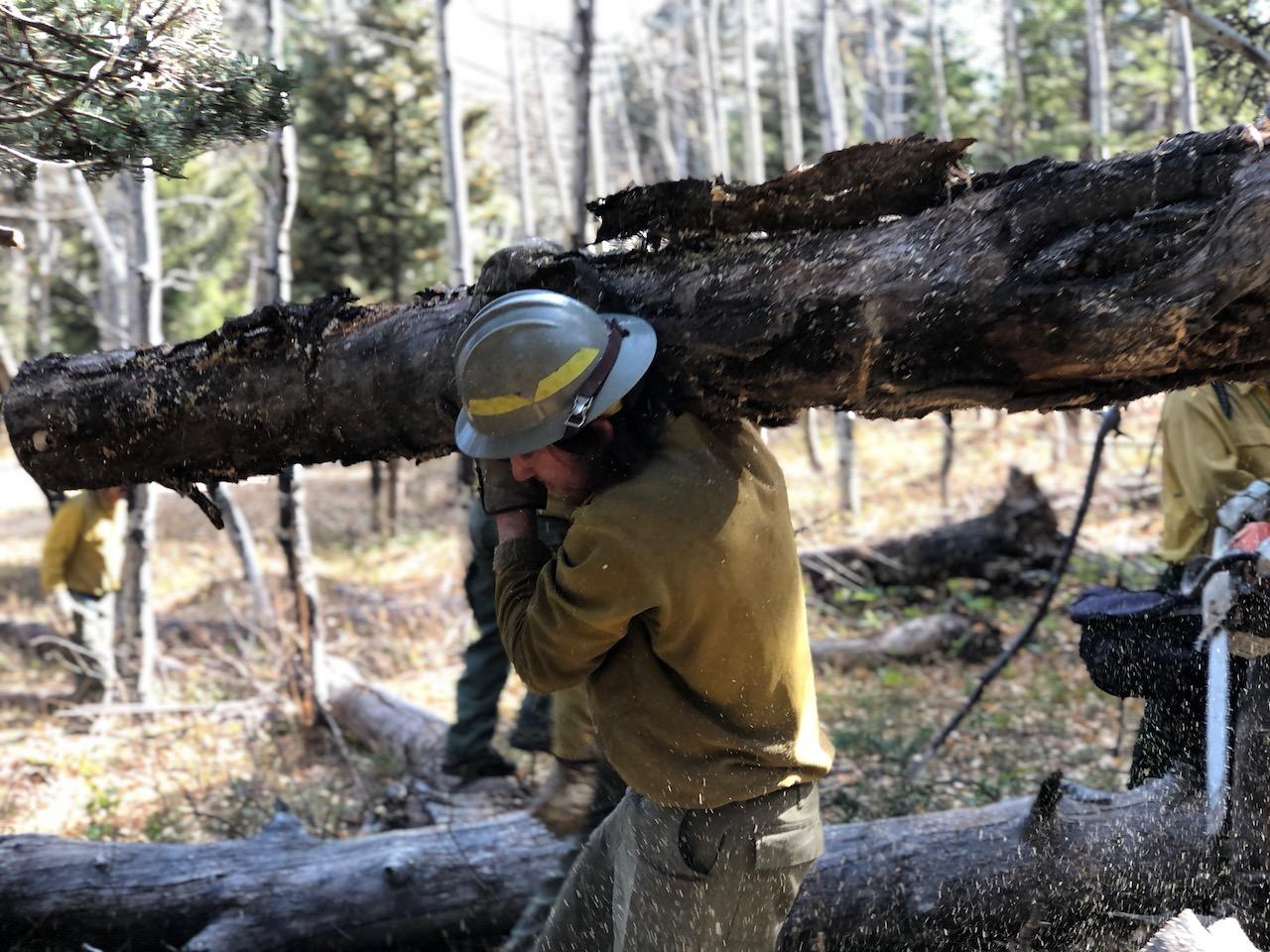 A young man in a yellow shirt and tan pants, with a tan hard hat, carries a log over his shoulder in a wooded area.