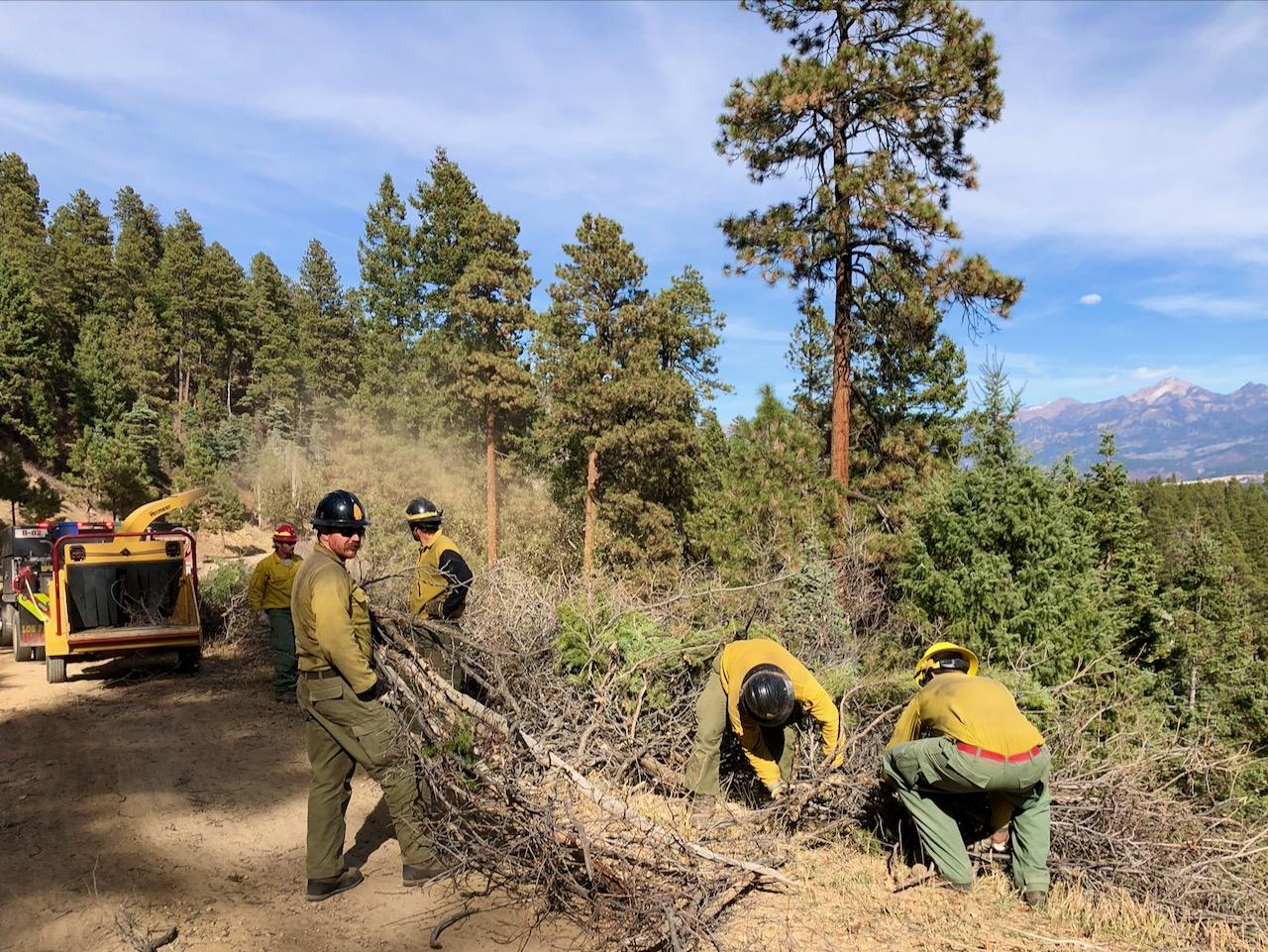A crew of firefighters wearing yellow shirts and green pants with hard hats on feed brush into a wood chipper with a view of the San Juan Moutains in the background.