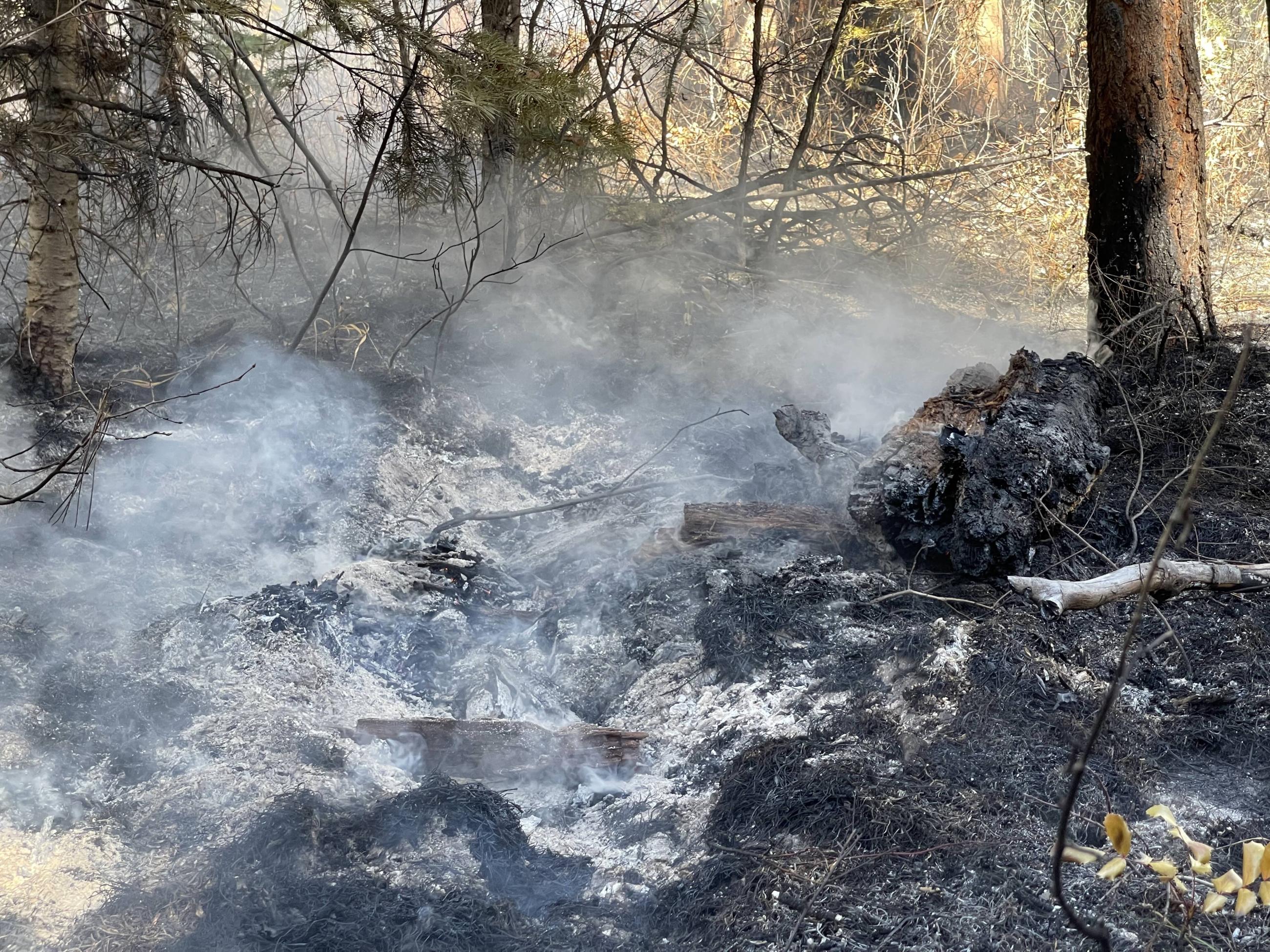 Smoke output from wood and other ground fuels smoldering on the Trail Springs Fire