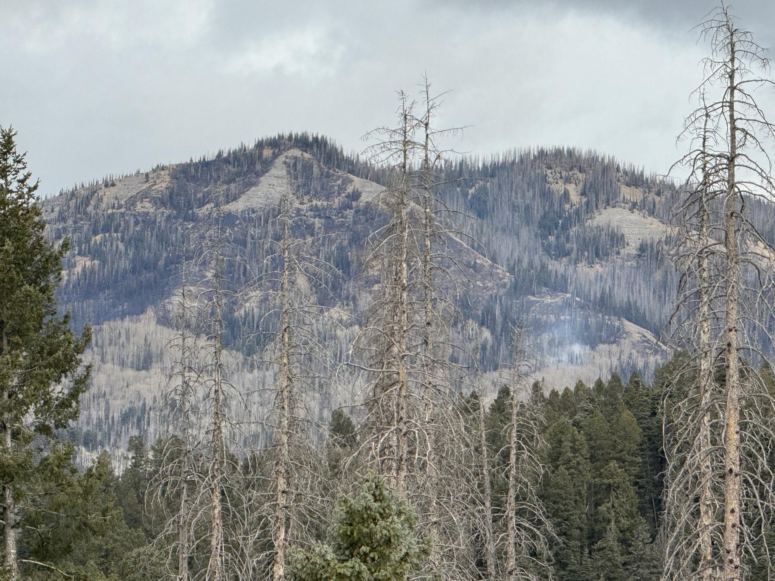 View of the Mill Creek 2 Fire, located in remote terrain 10 miles northeast of Pagosa Springs