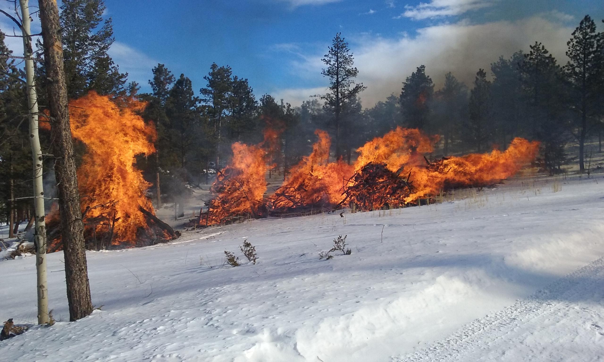 Pile burning in the Creedmore Lakes area north of Red Feather Lakes on January 12, 2016.