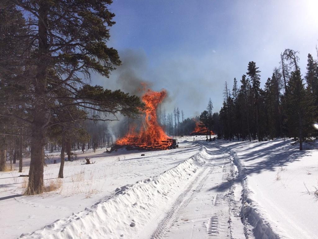 Pile burning in the Monument Gulch area on January 14, 2015.
