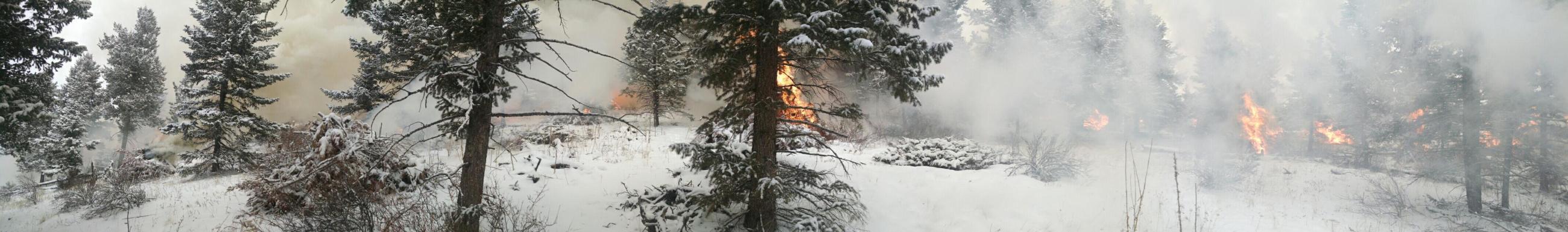 smoke and piles burning in snow