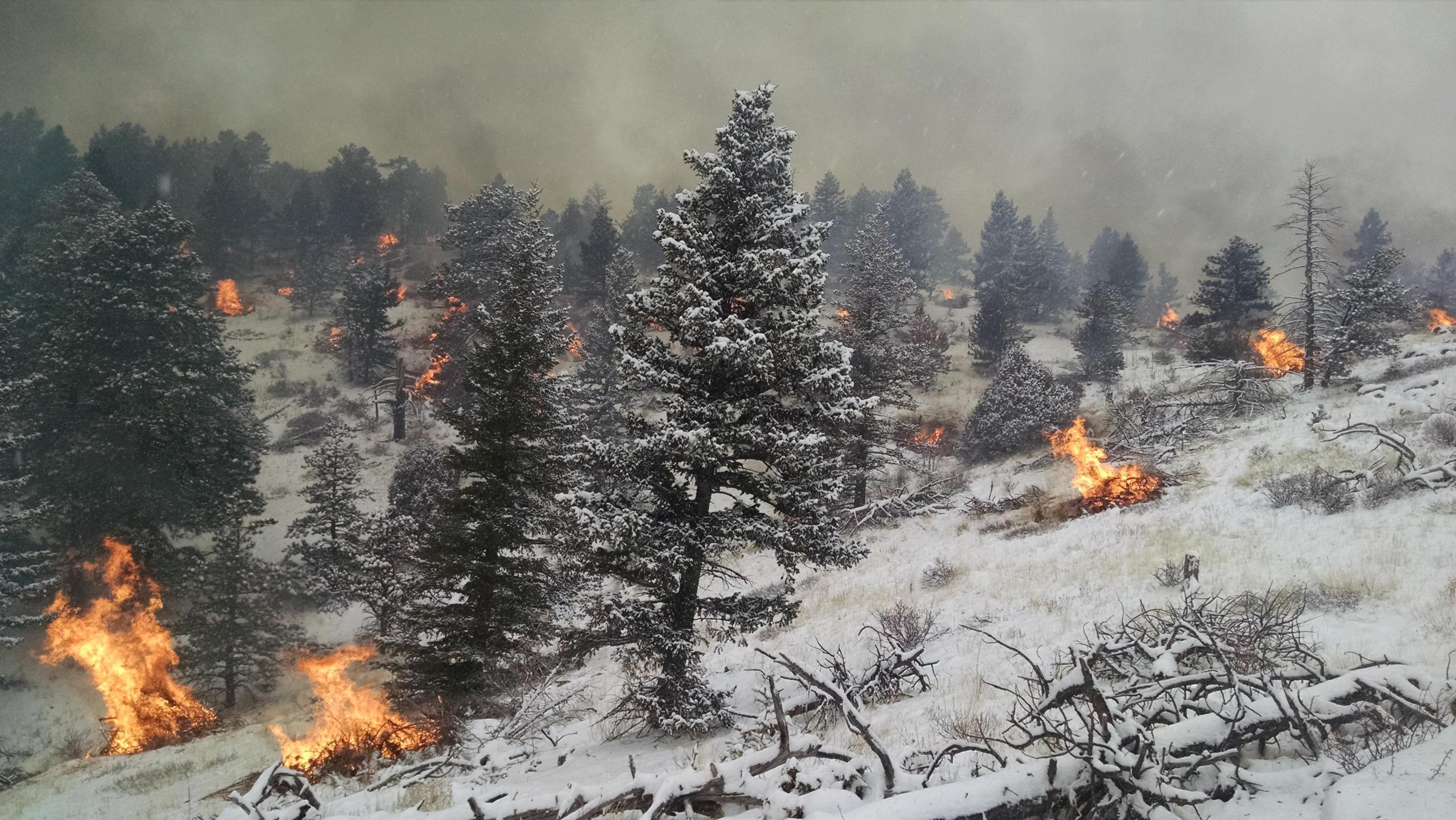 smoke and piles burning in snow