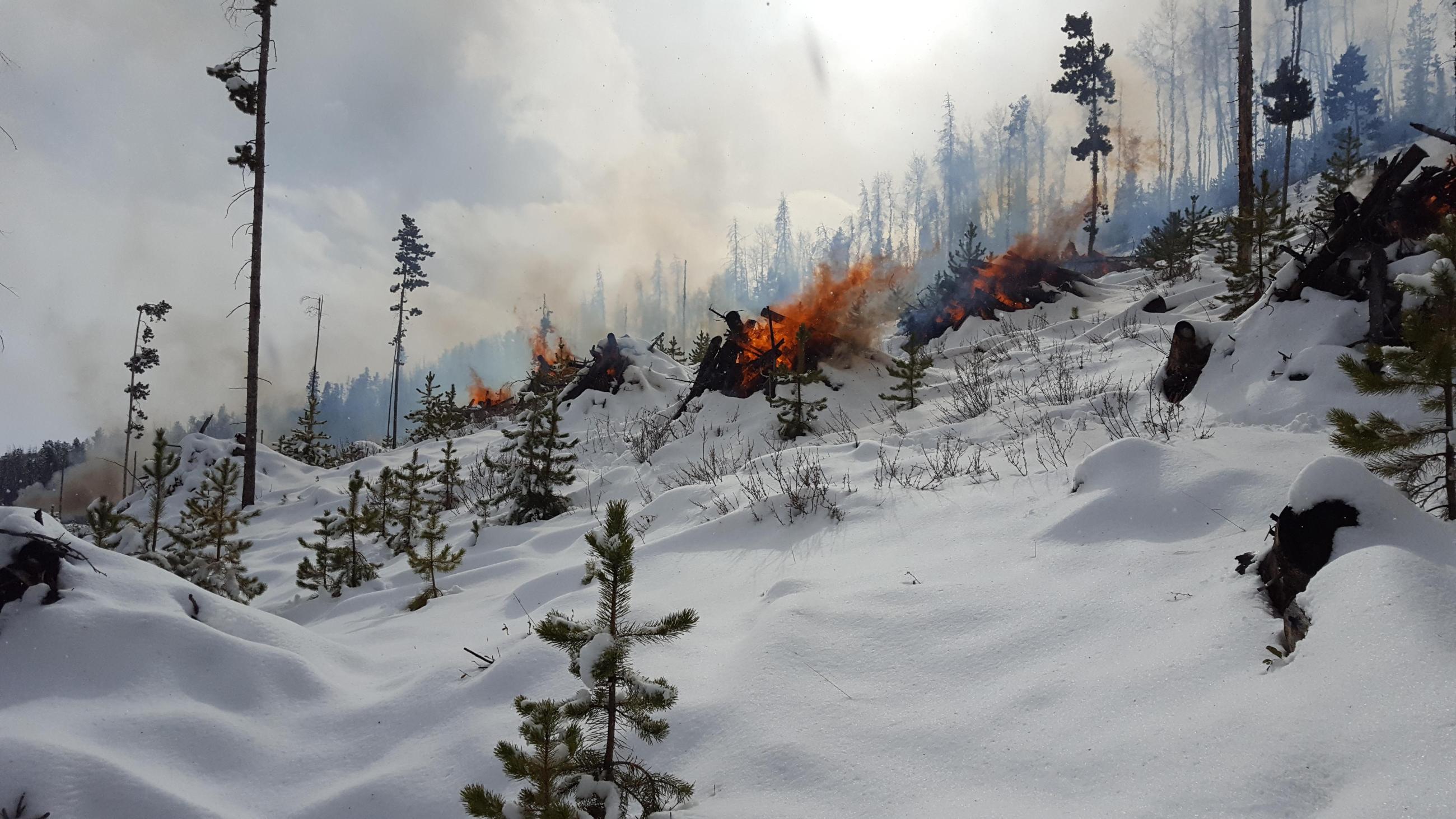 Pile burning in snow with smoke, flames