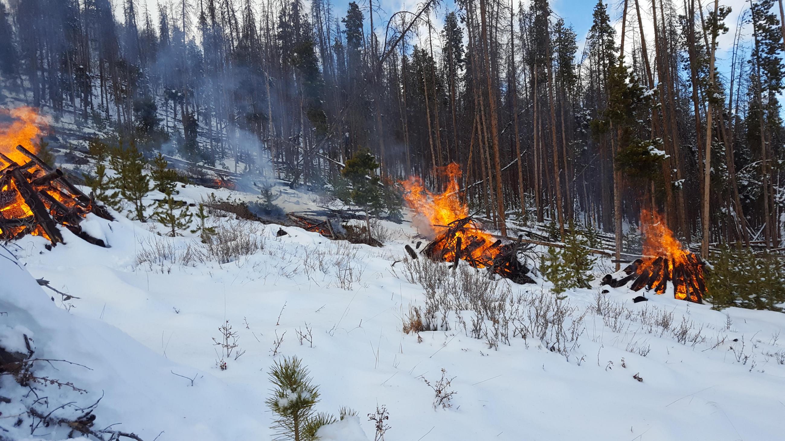 Pile burning in snow with smoke, flames