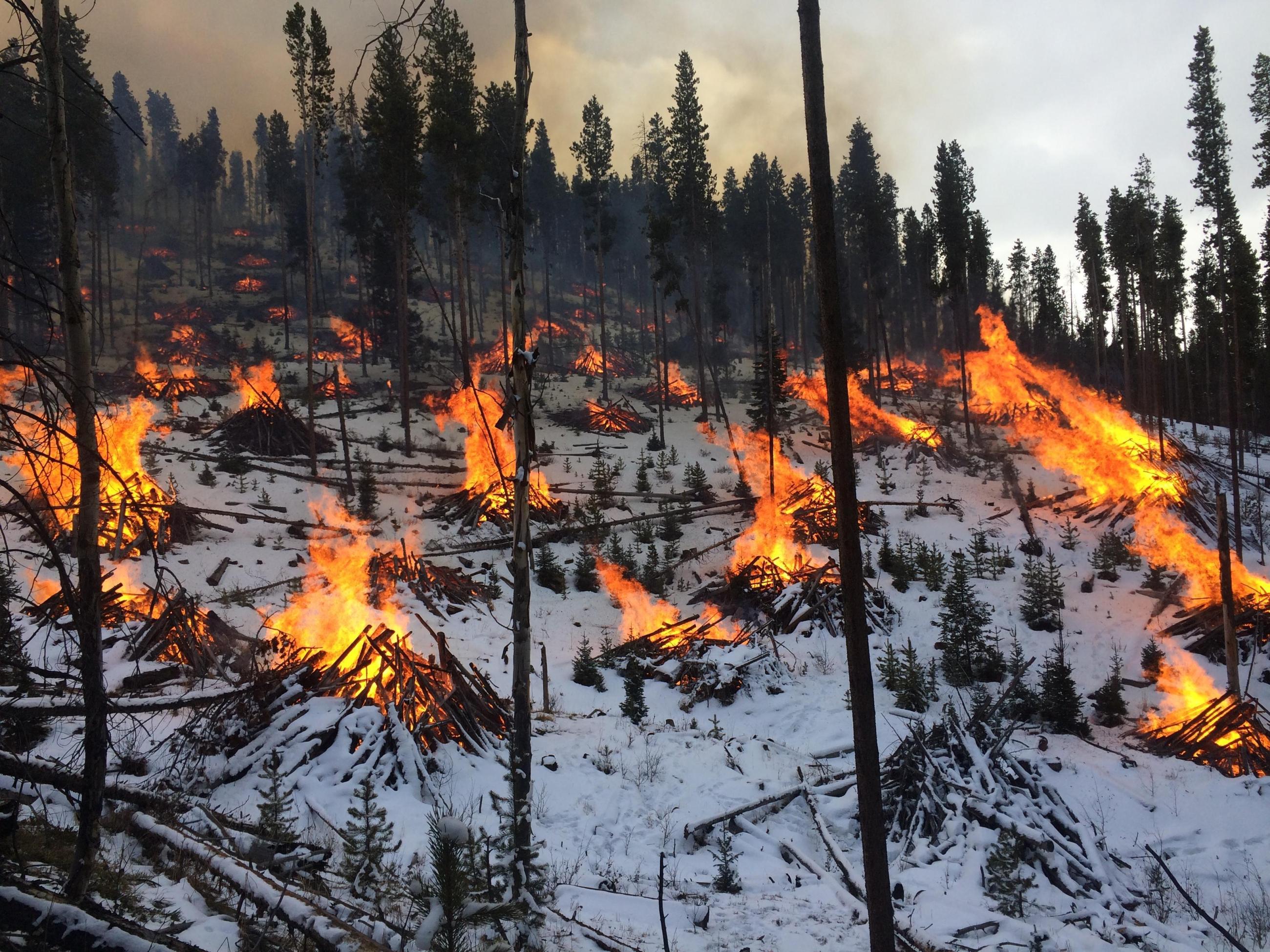 Coarf Arapaho Roosevelt National Forests Pile Burning Incident ...