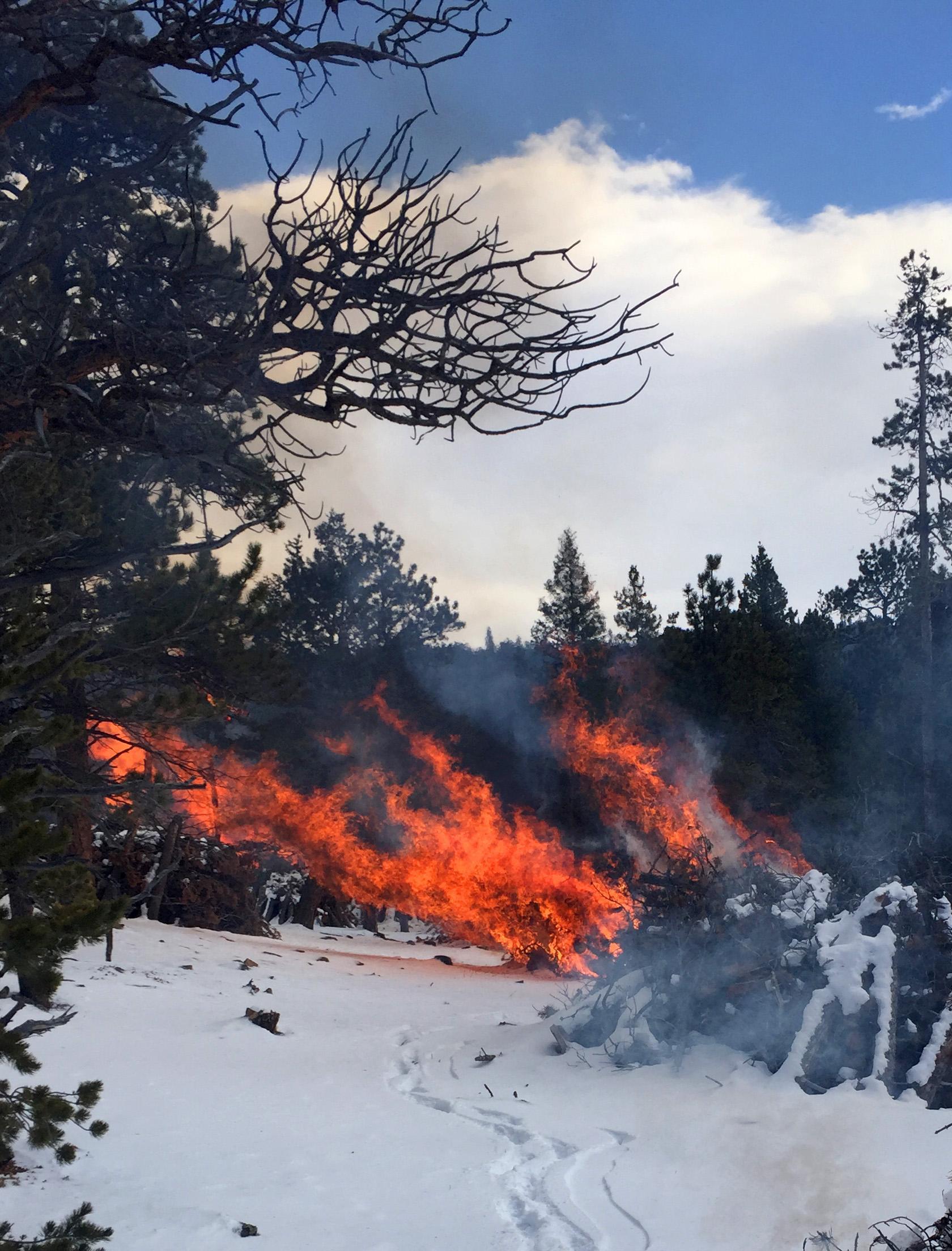 Pile burning in snow with smoke, flames