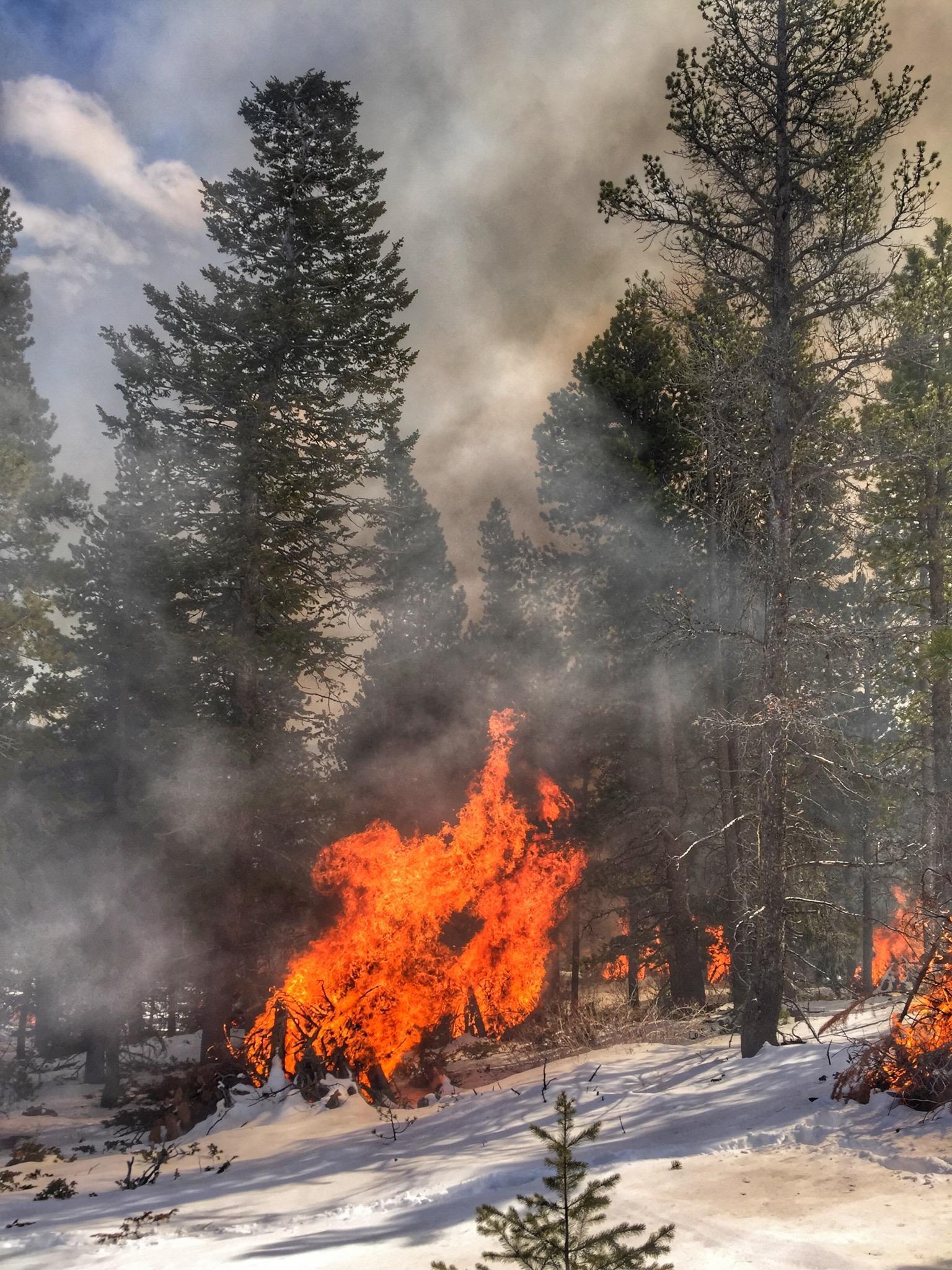 Pile burning in snow with smoke, flames
