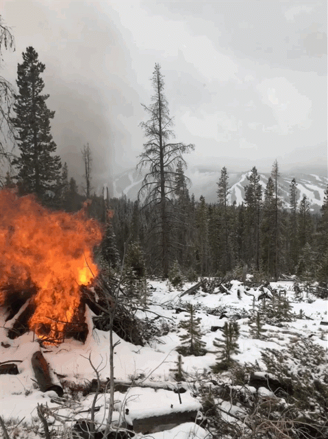 Pile burning in snow with smoke, flames