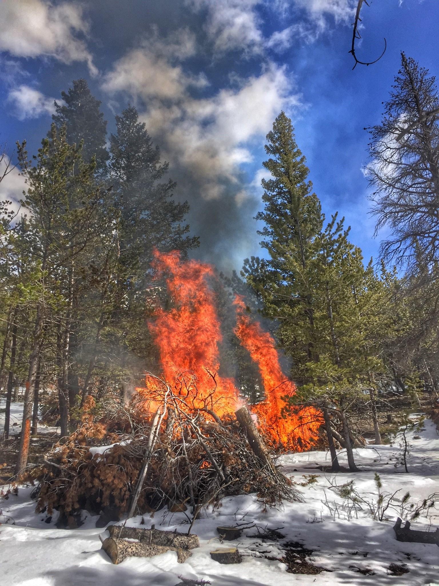 Pile burning in snow with smoke, flames