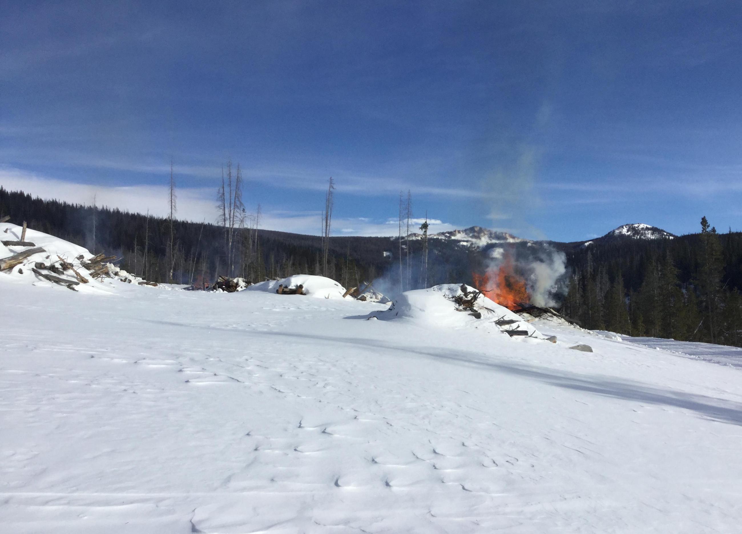 Snowy forest with smoke coming up from a pile of slash surrounded by snow.