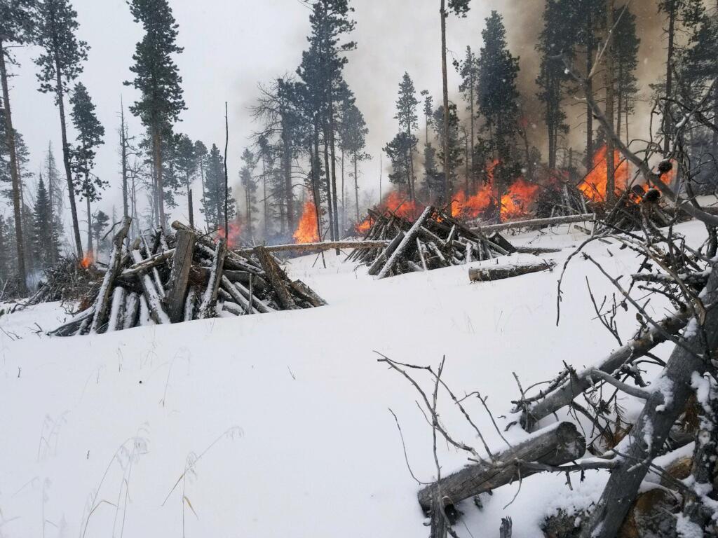 A snowy forest with multiple piles of branches glowing orange with flames.