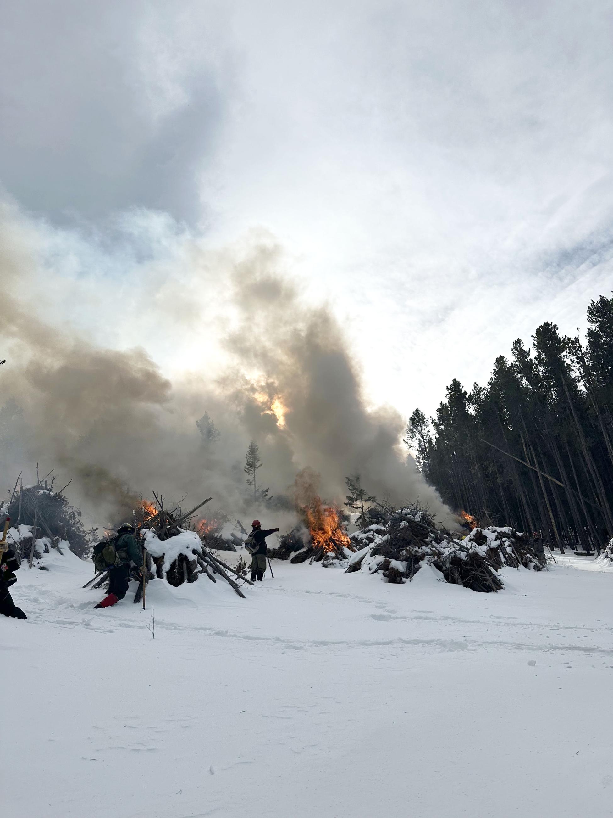 Boulder Ranger District burning piles