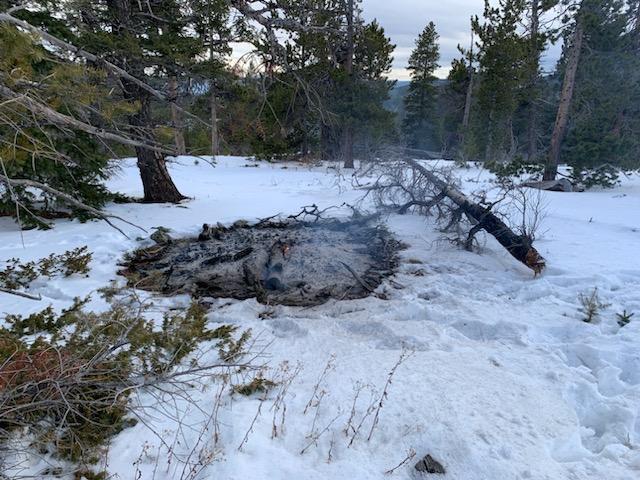 Canyon Lakes Ranger District 2023 Pile Burning