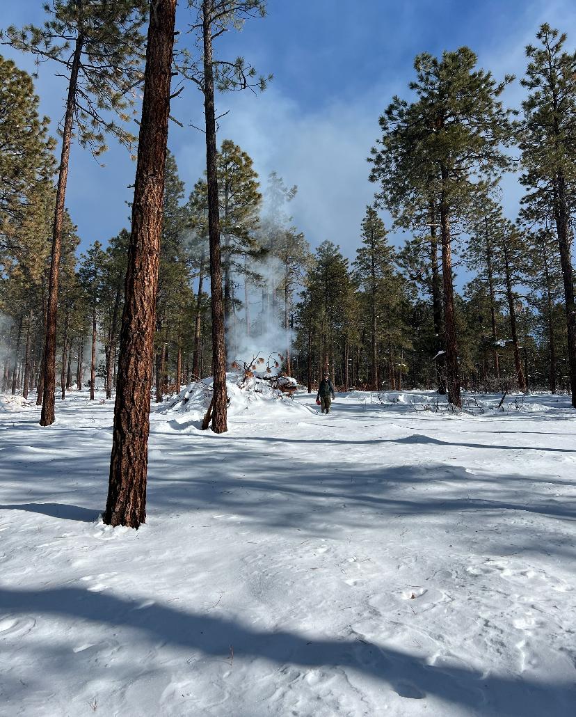 Image of a wildland firefighter next to a large pile burning with smoke in a Ponderosa pine forest covered in snow.