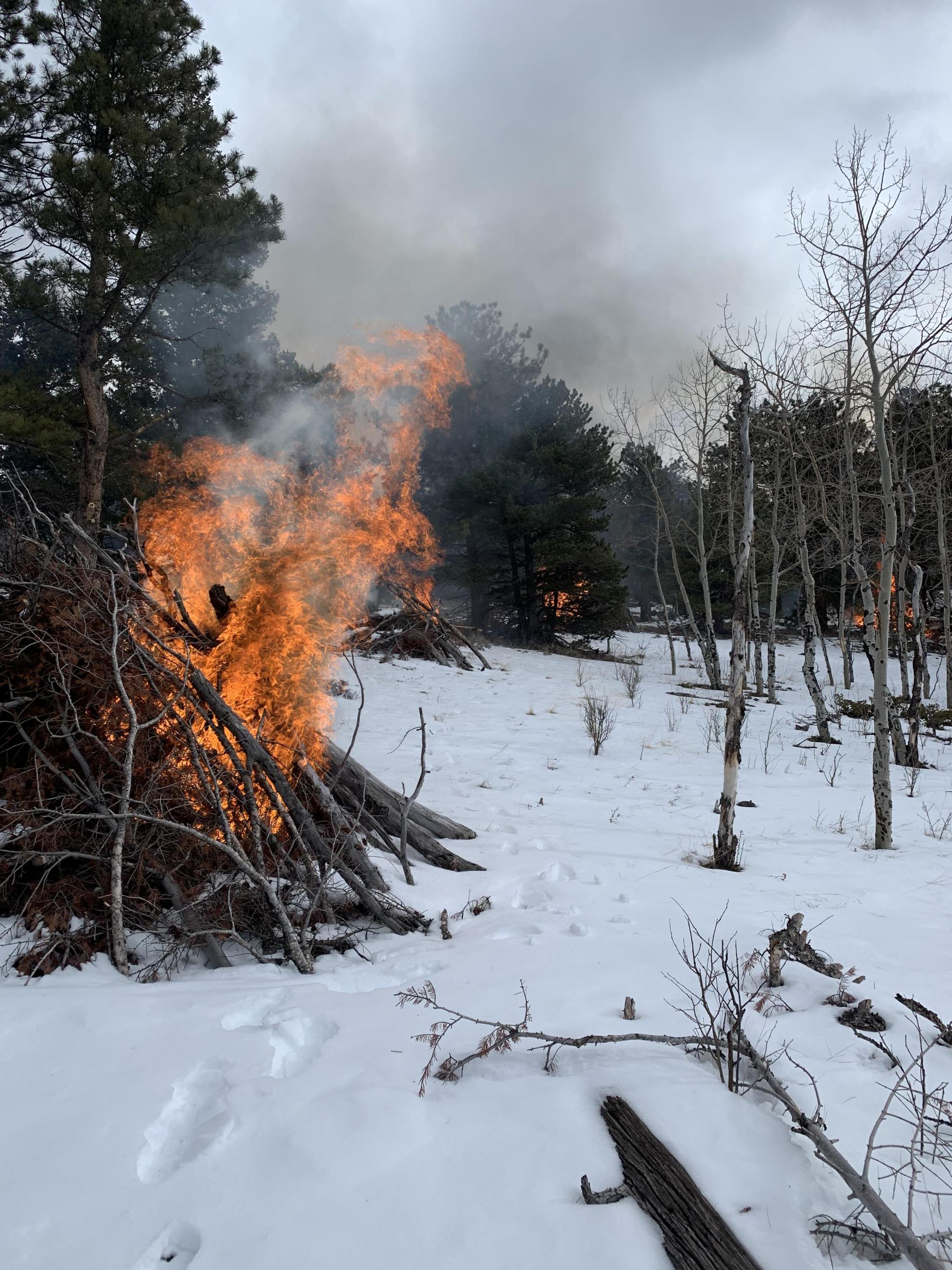 Boulder Ranger District 2023 Pile Burning