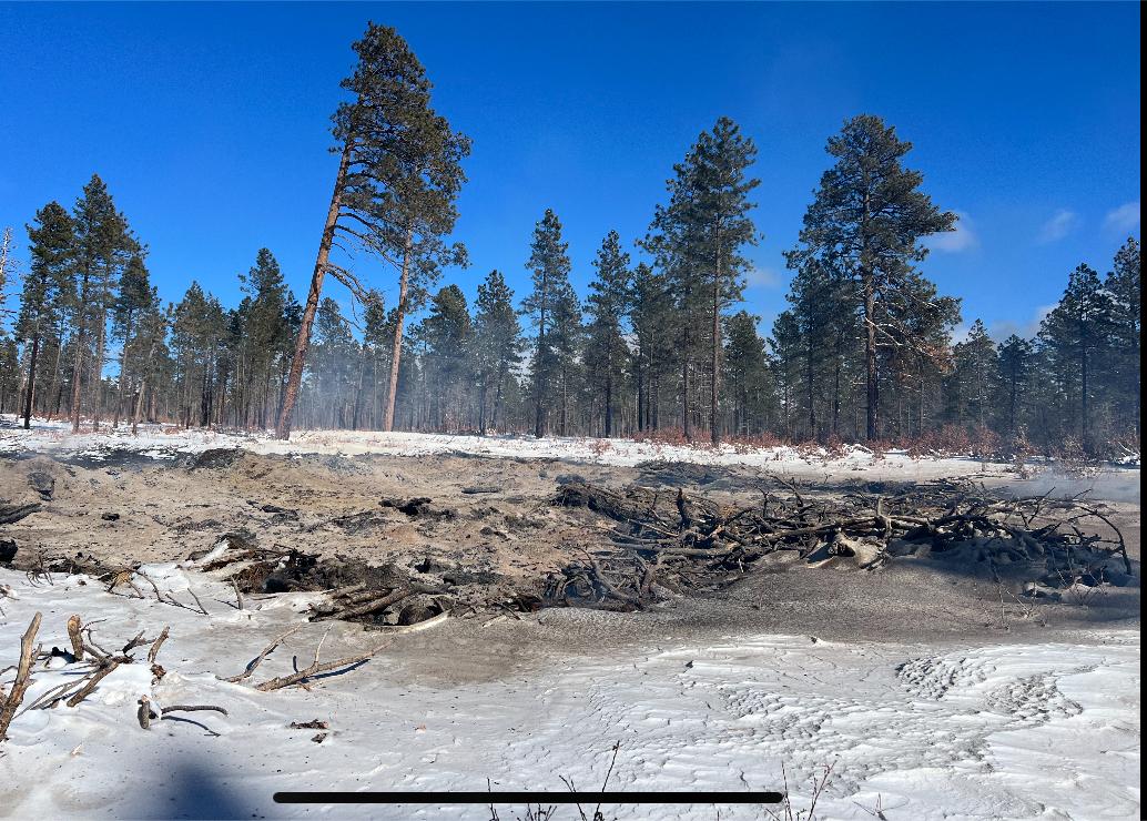 Image shows a large burned down slash pile with ash pit and small remaining branches in burn area surrounded by snow. Ponderosa pine trees in the background and blue sky.