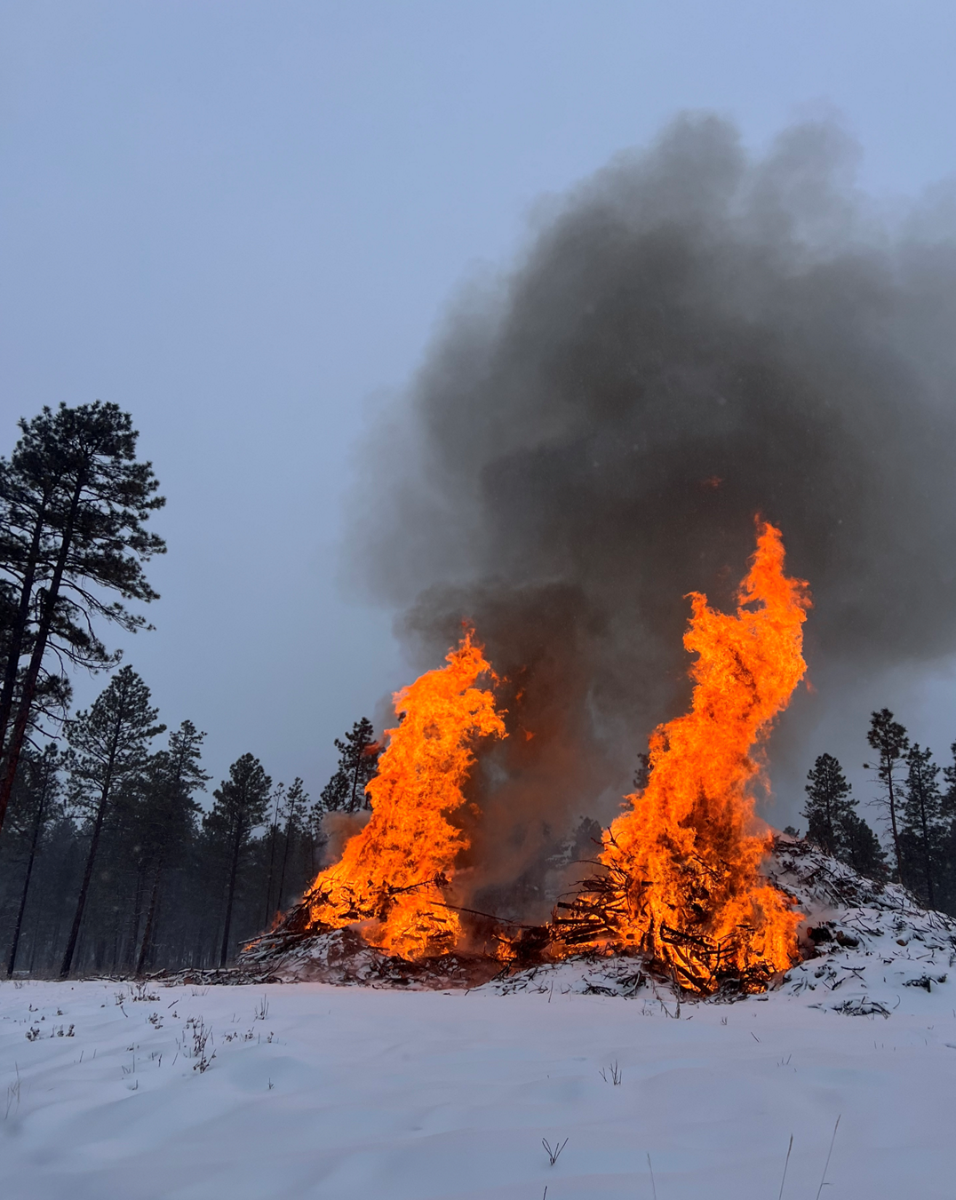 Image with two large slash piles burning with large orange flames, dark smoke, Piles are surrounded by snow.