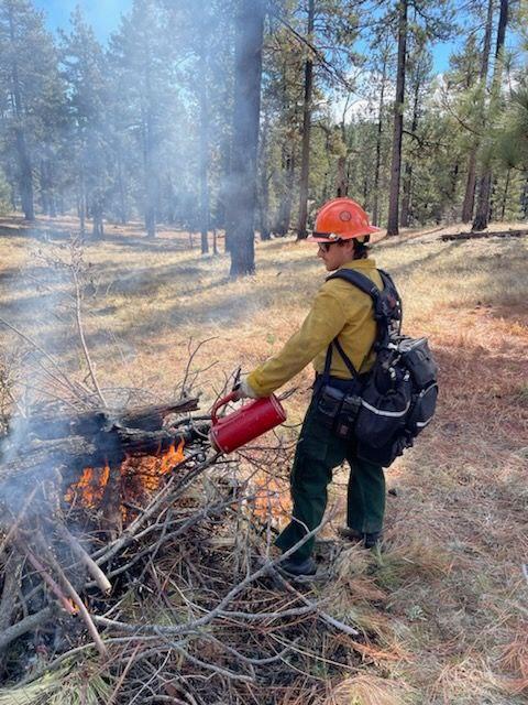 Firefighter igniting fuel piles on the prescribed burn.  