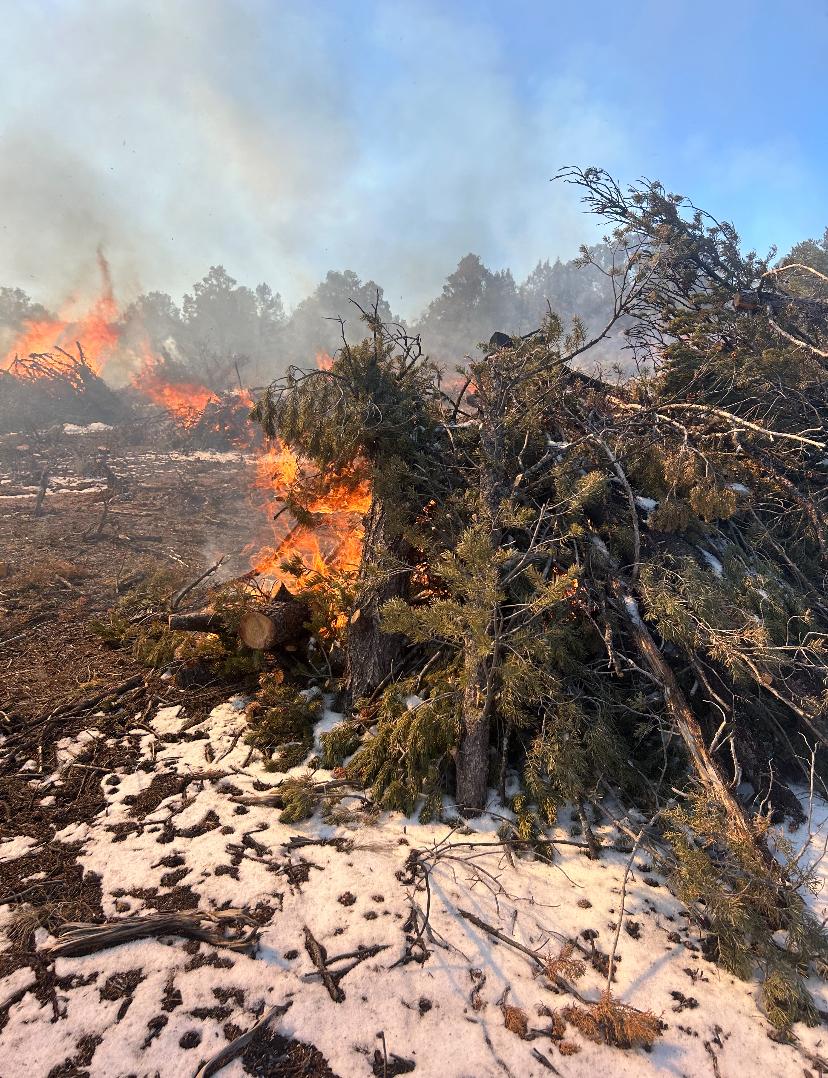 Image of pinyon and juniper slash piles burning with flames, smoke, and snow on the ground. 