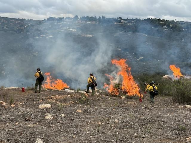 Image of fuels on fire, smoke and firefighters monitoring the Ramona Fuel Break Prescribed Burn